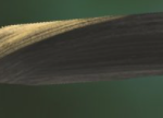 image.png.dfc61b7e351f9861cf6e4e97de964f05.png
