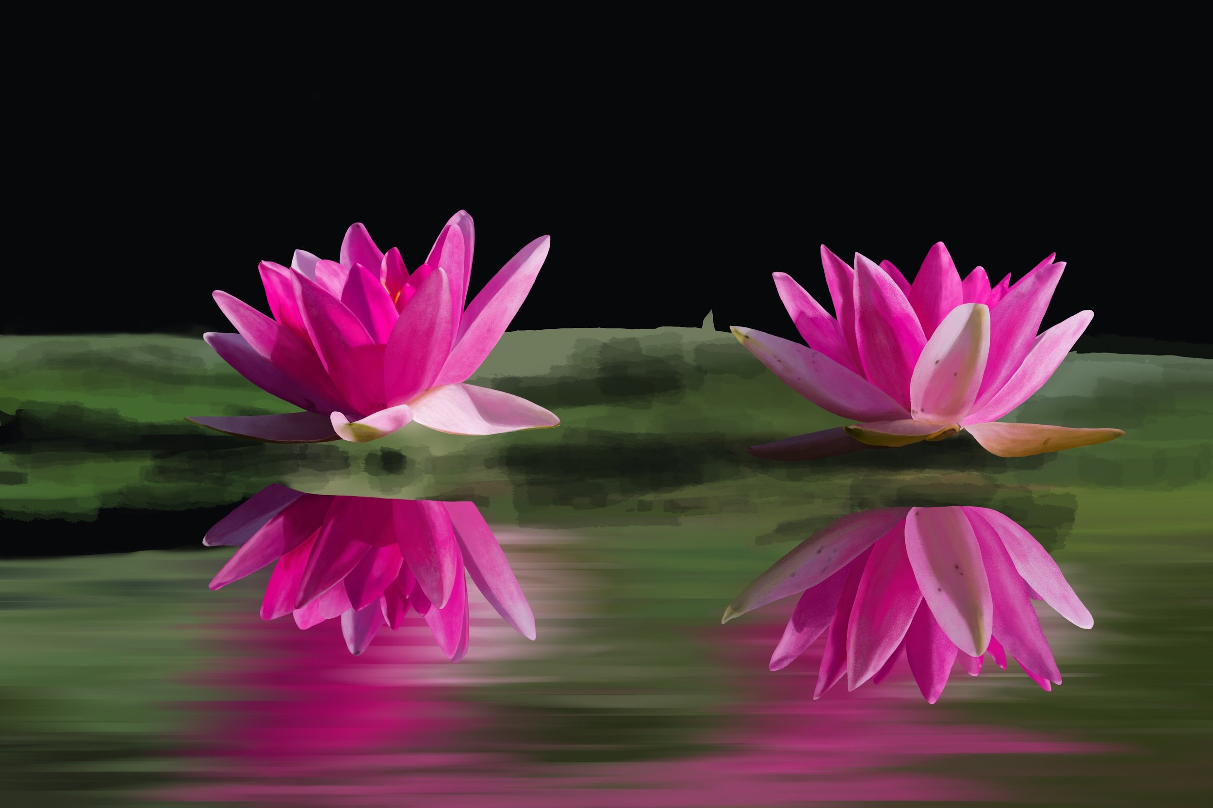 nenuphars 150518psd.jpg