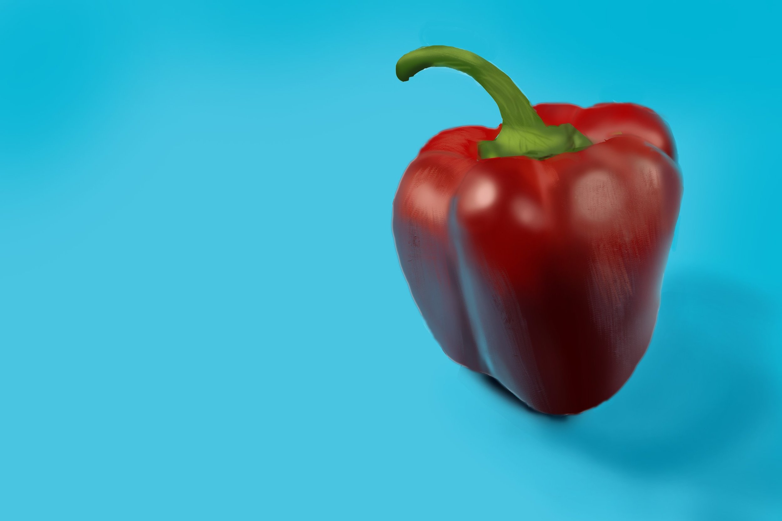 Exercice4-etude-photo2 GR Poivron final.jpg