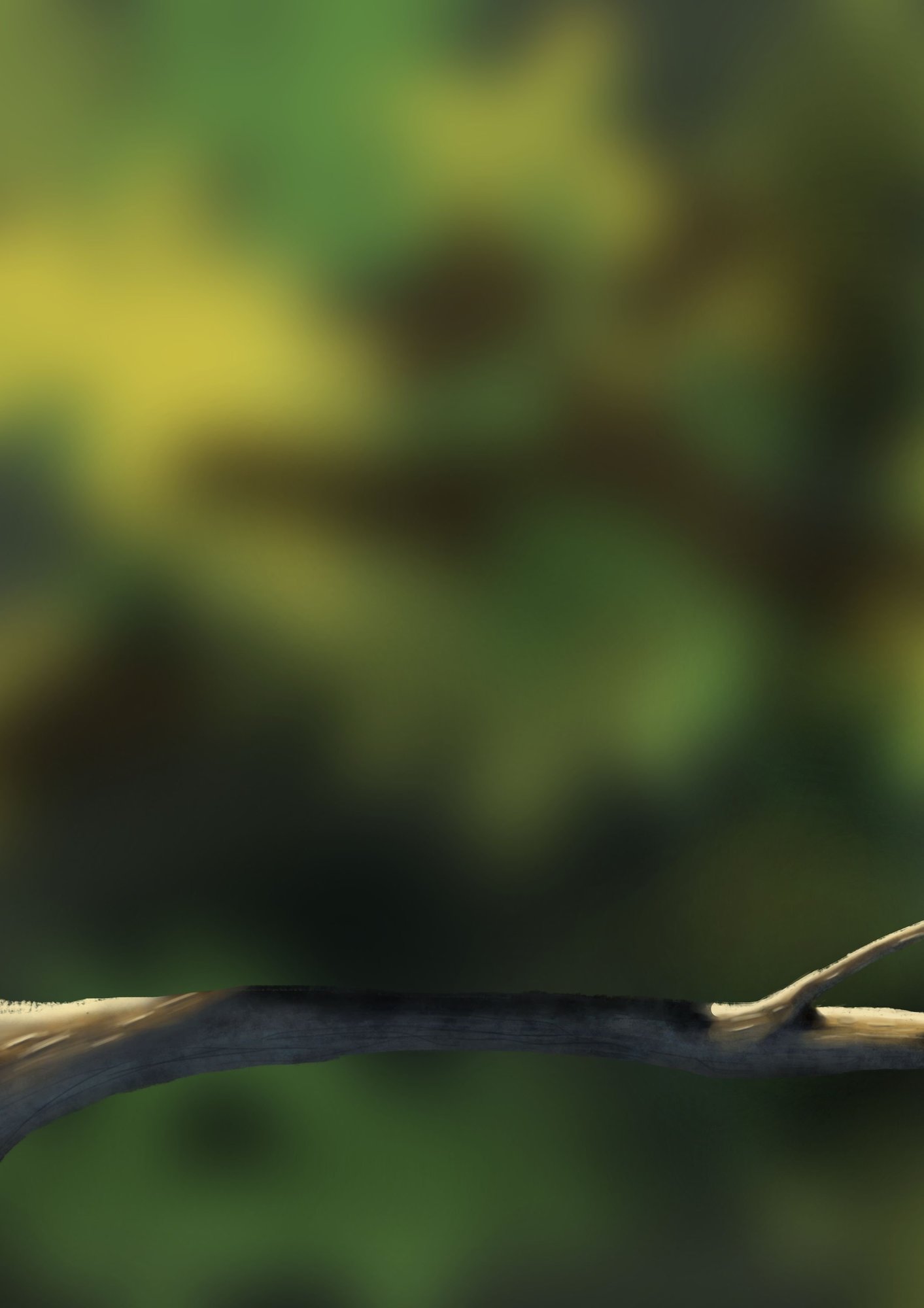 la mise en couleur de loisillon.jpg