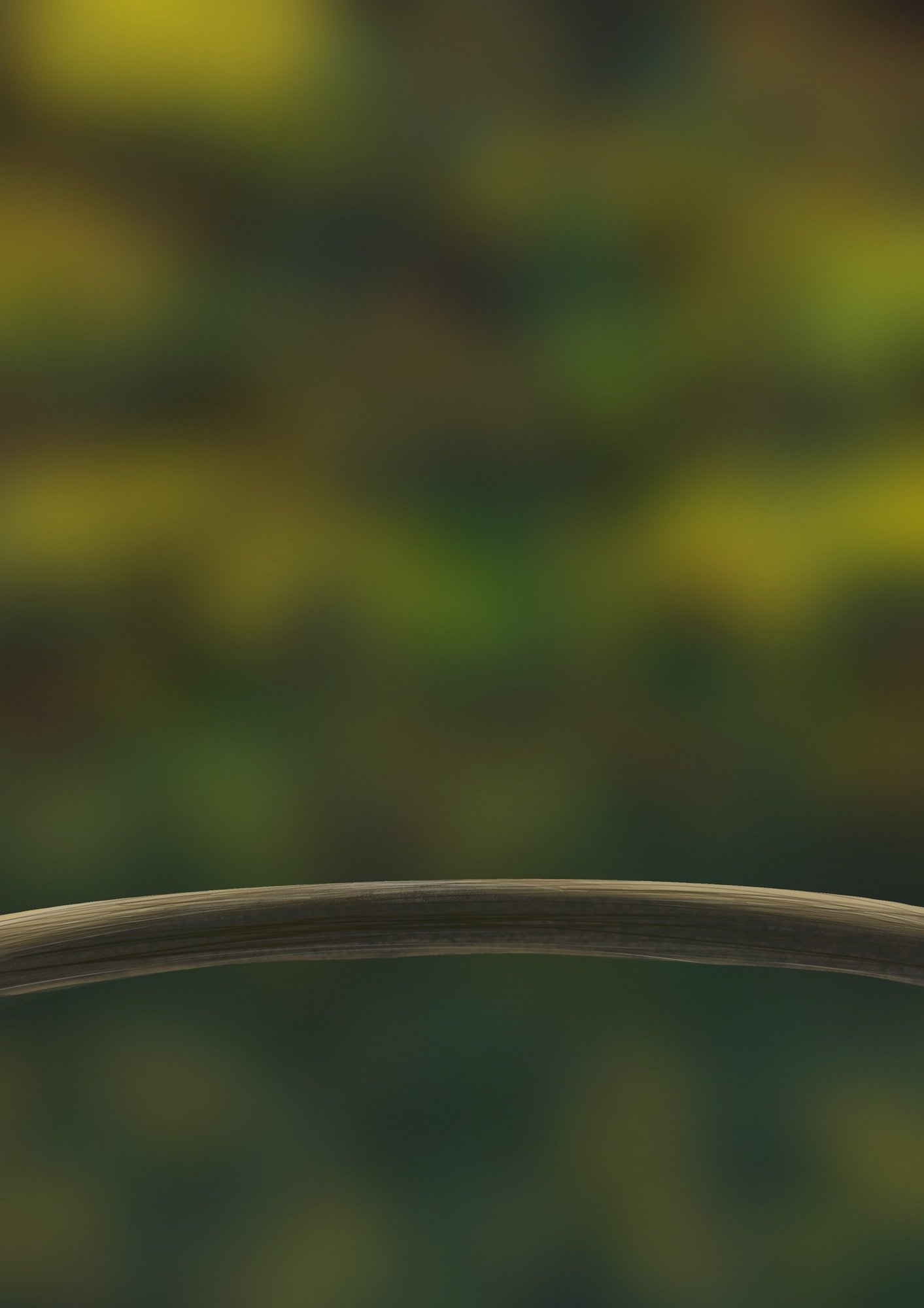 oiseaux copie3 copie.jpg