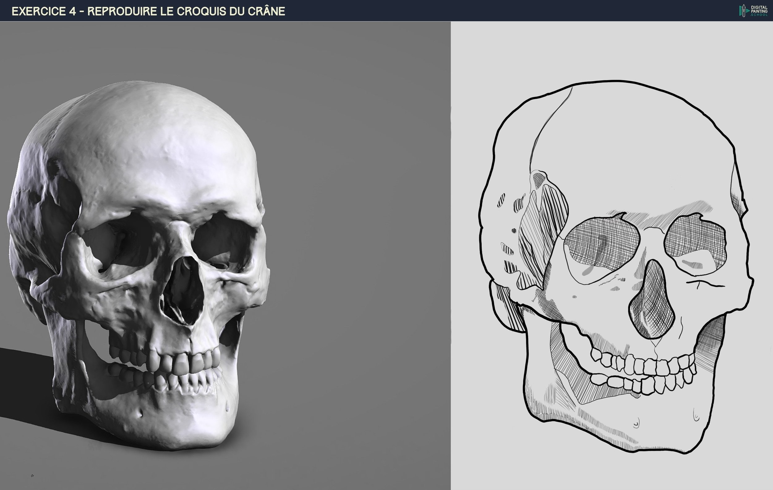 Crâne lvl 5 + BP.jpg