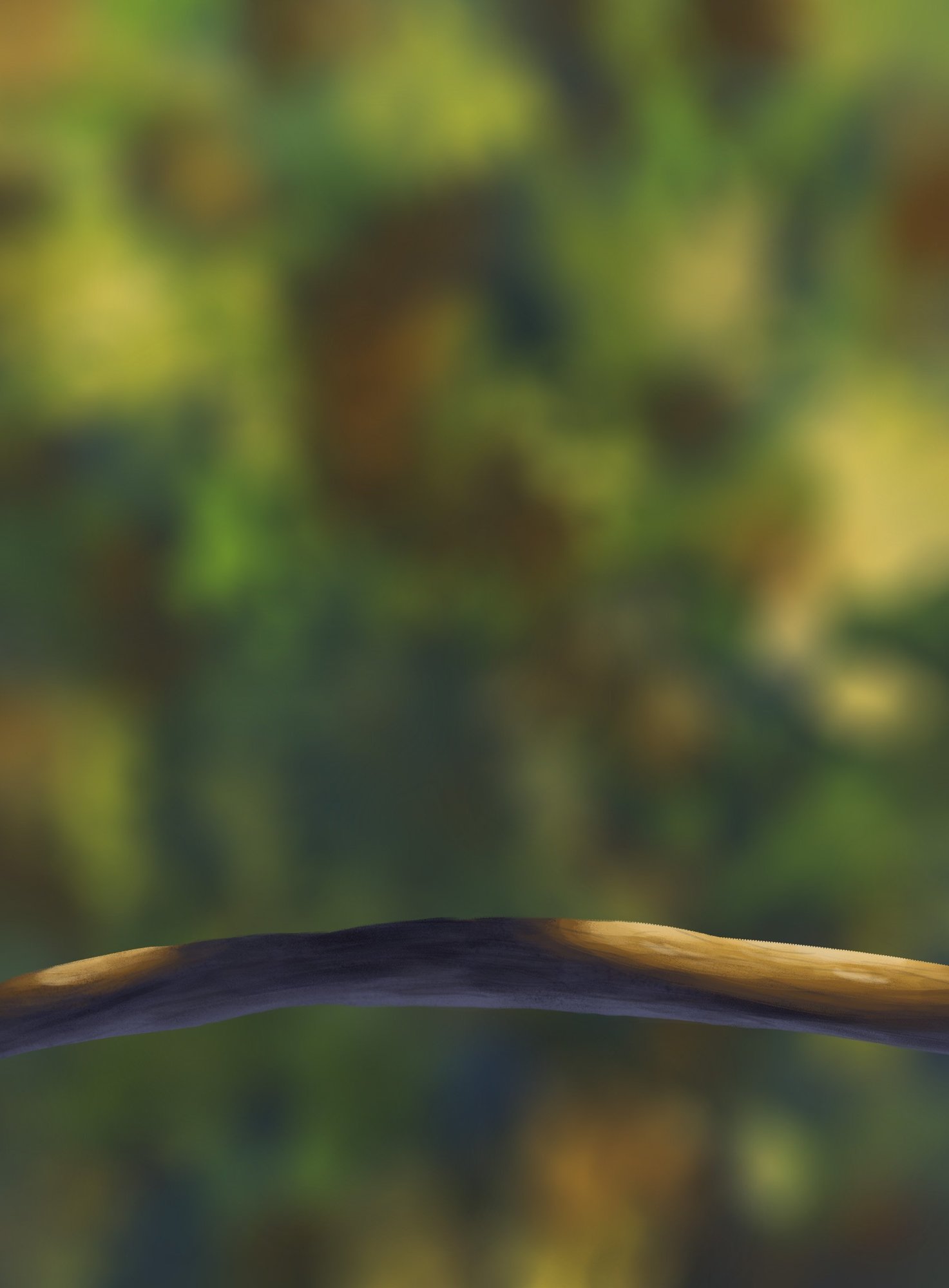 DPS Prog-1-1-Exercice5-Oiseau-Commencement copie.jpg