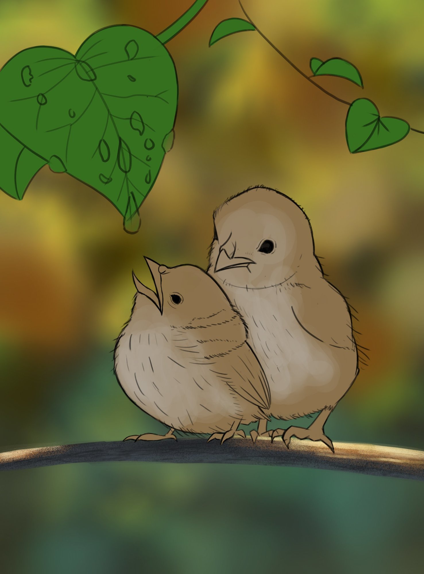 croquis oisillons copie.jpg