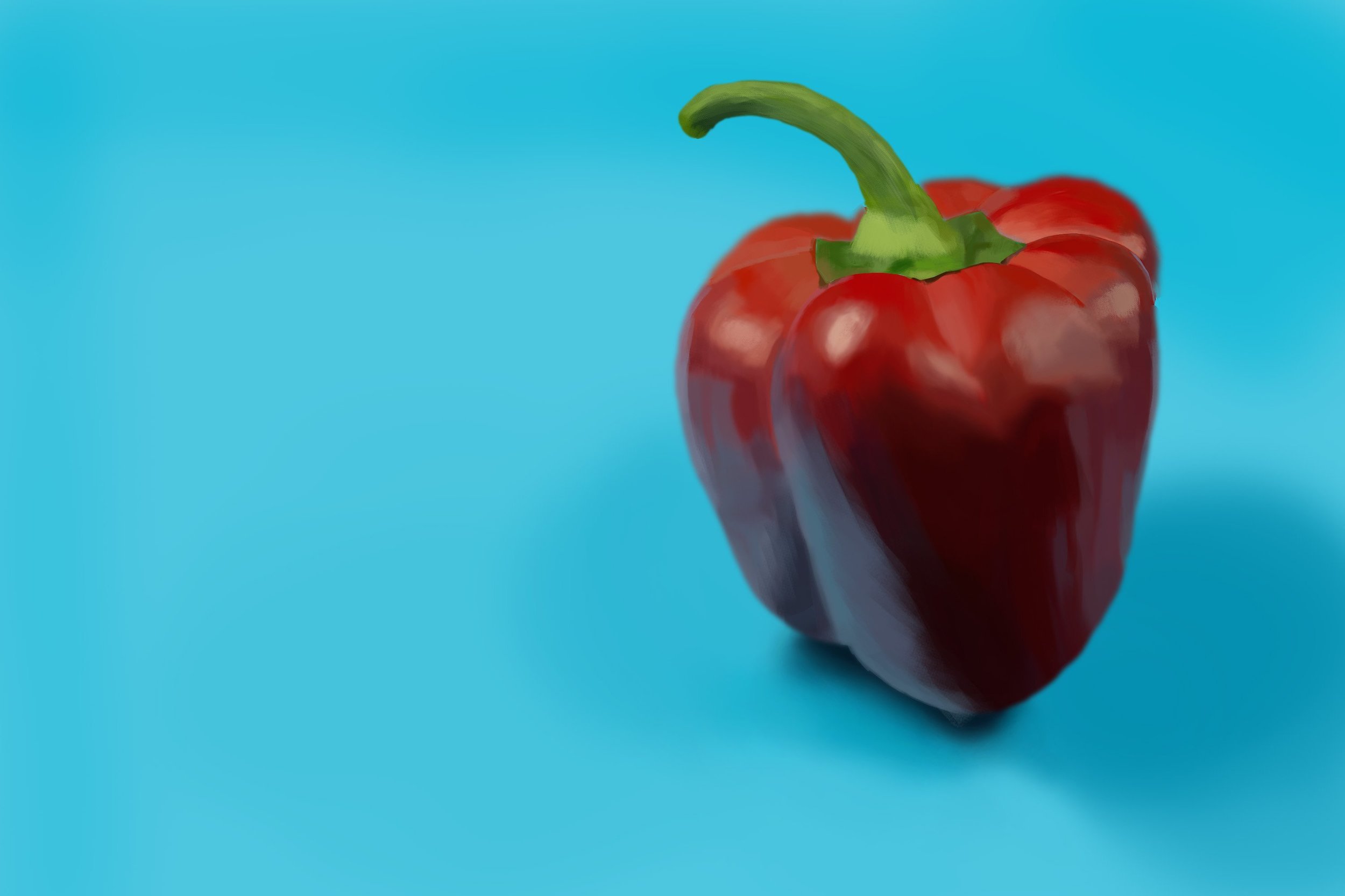 Exercice4-etude-photo1 - par Haki.jpg