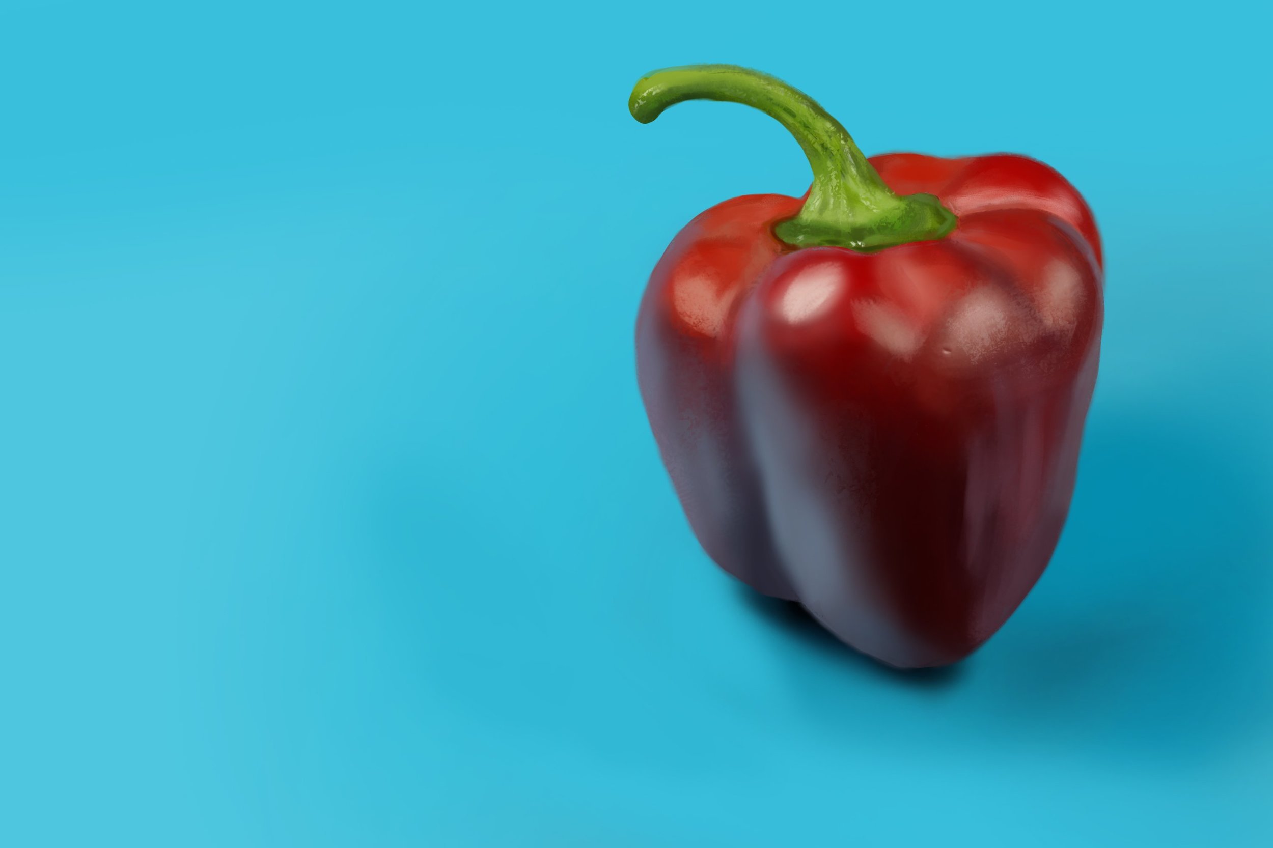 Exercice4-etude-photo1 first !.jpg