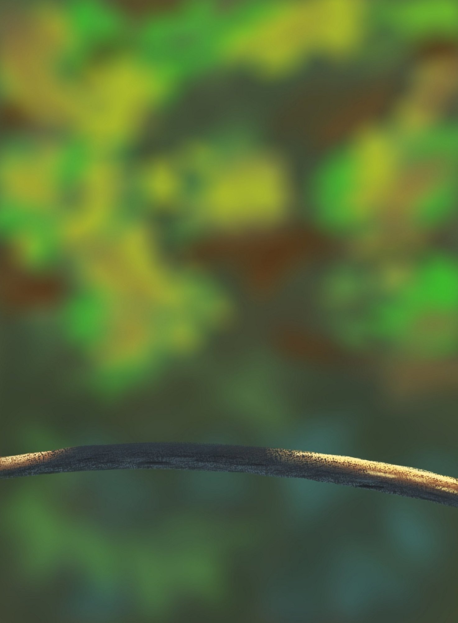 DPS Prog-1-1-Exercice5-Oiseau-lionel.jpg