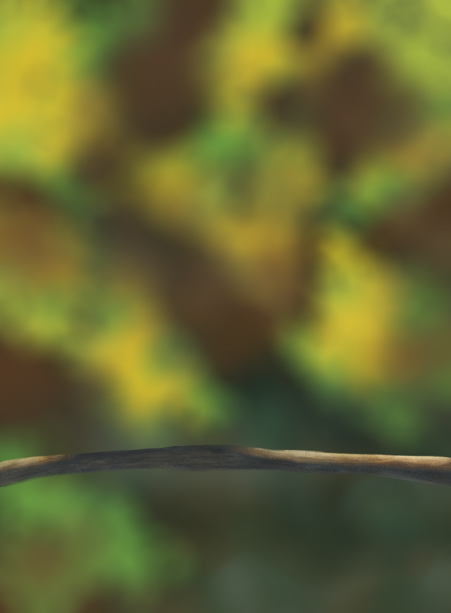 EG      Prog-1-1-Exercice5-Oiseau-Commencement.png