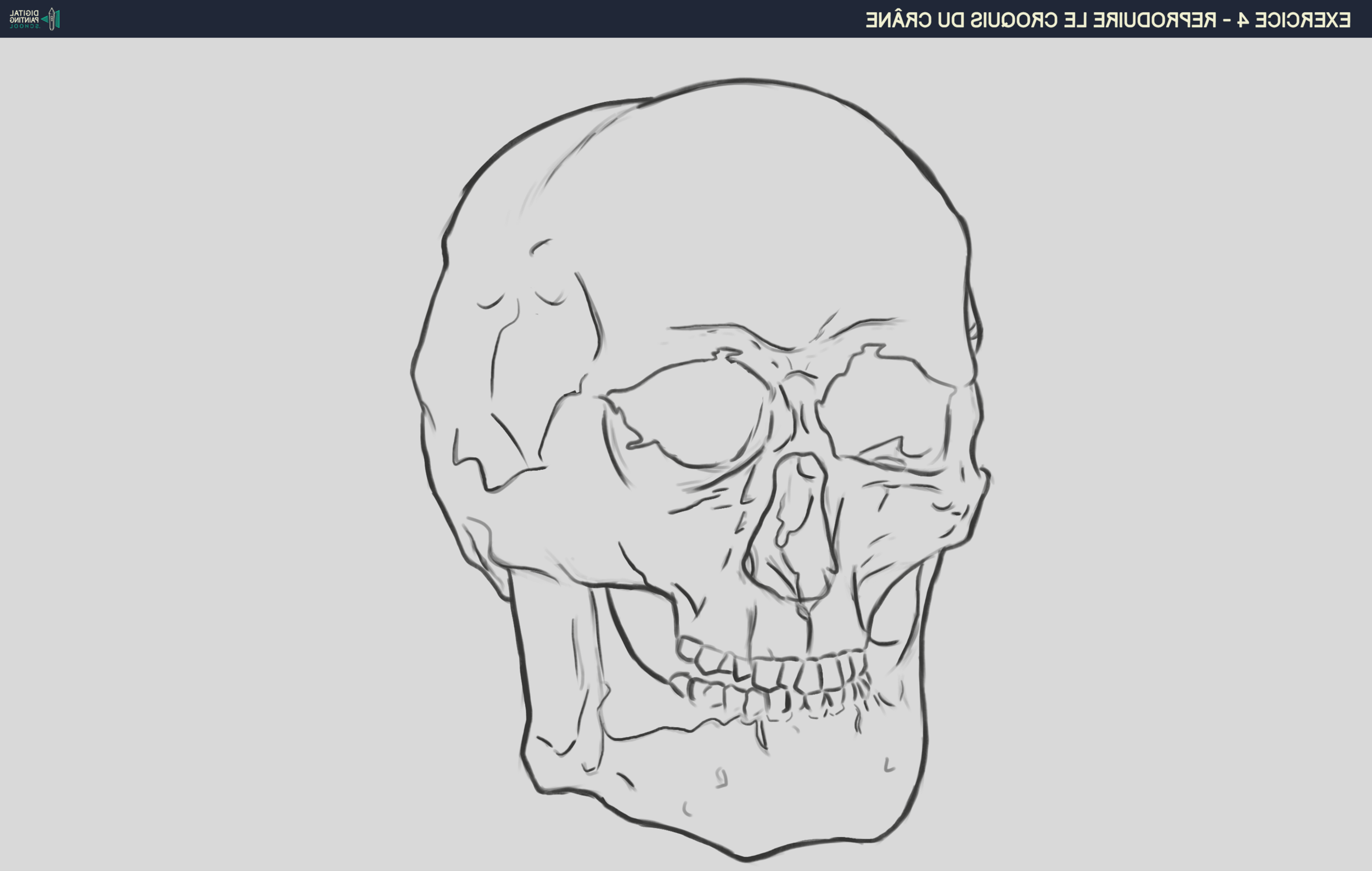 DPS-Prog-1-2-2-démo-crane-croquis 2.png