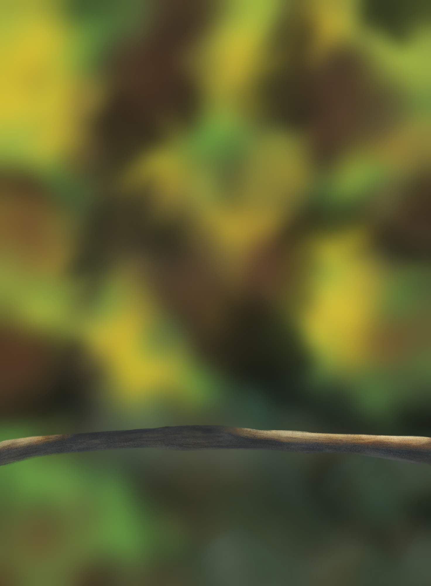 EG      2   Prog-1-1-Exercice5-Oiseau-Commencement.png