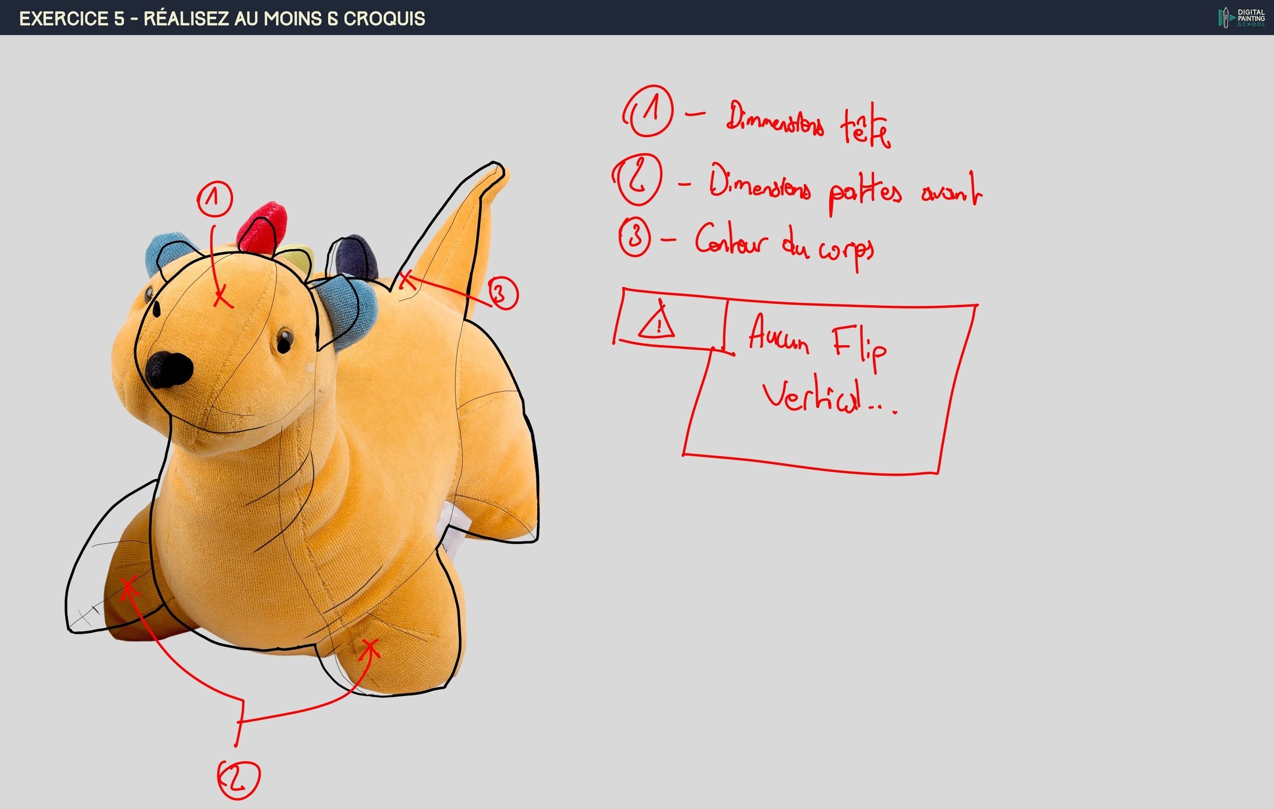 Peluche Correction.jpg