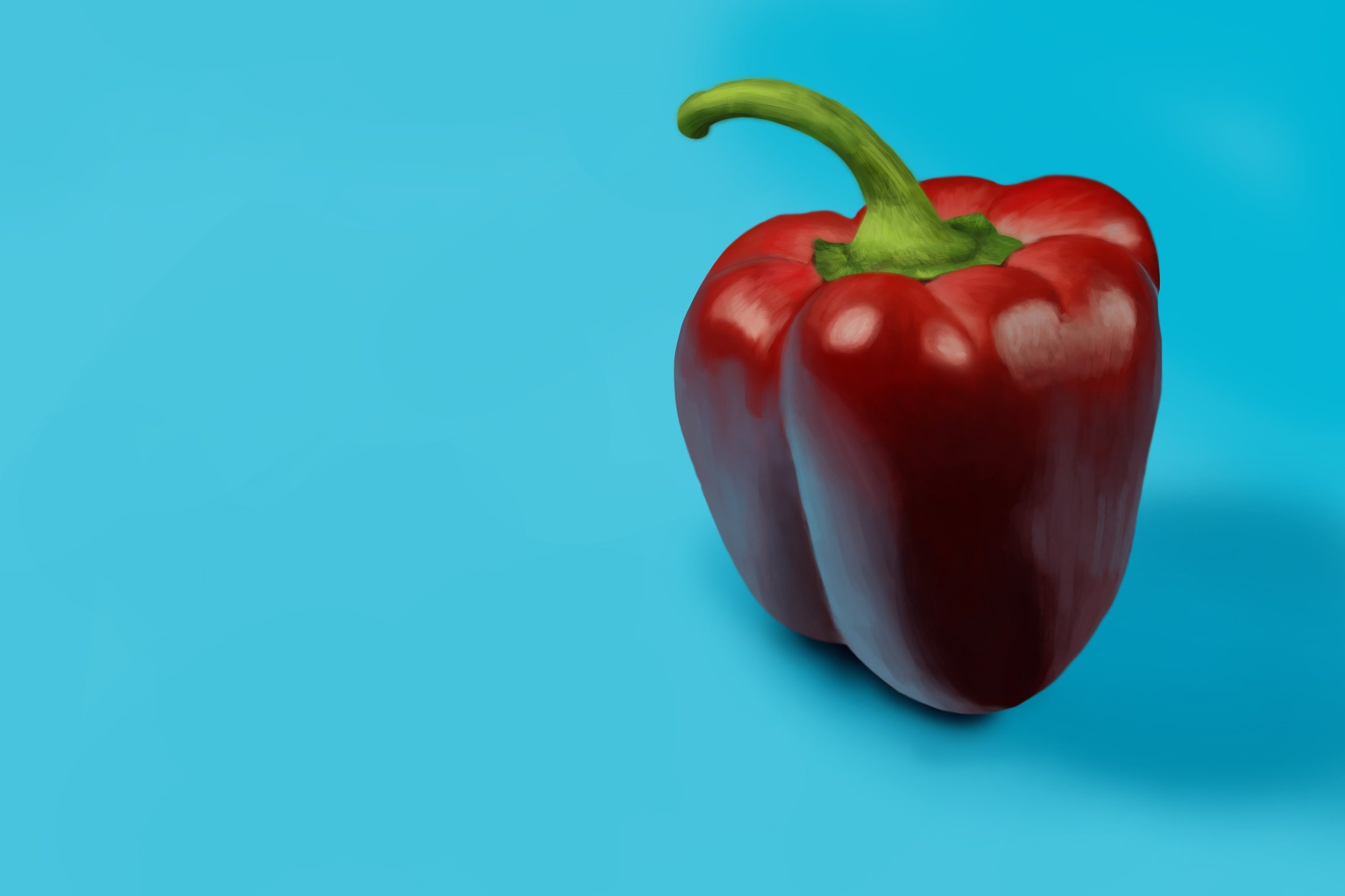 Exercice4-etude-photo1 copie.jpg