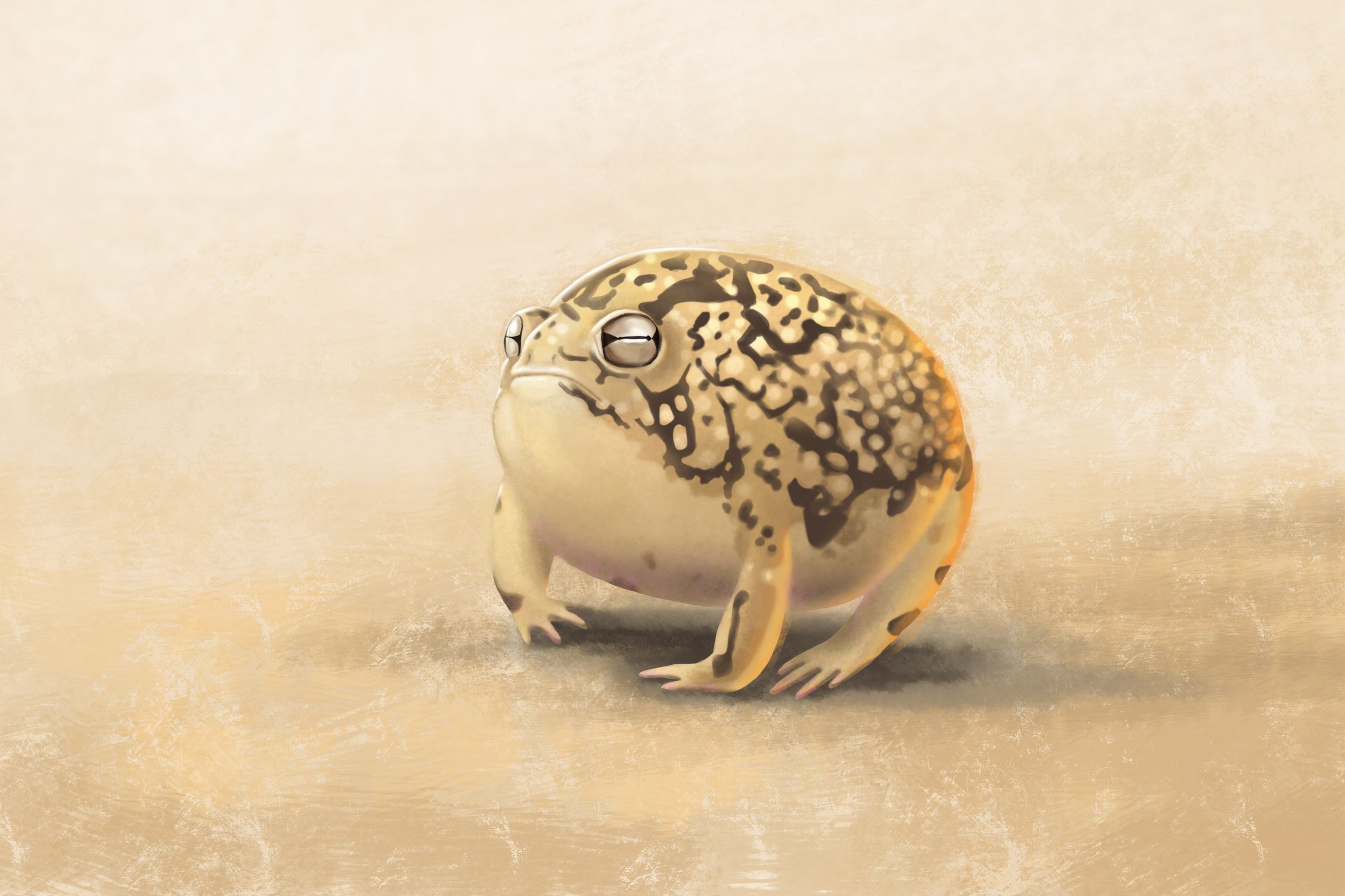 petitmontre 2 correction2.jpg