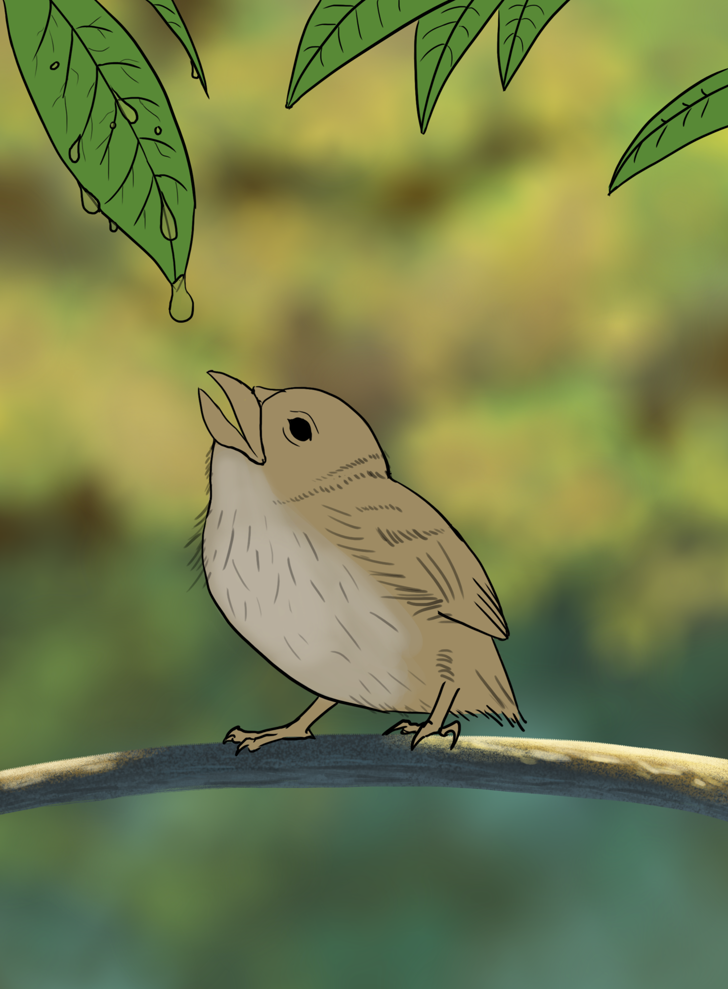 DPS Prog-1-1-Exercice5-Oiseau-Commencement.png