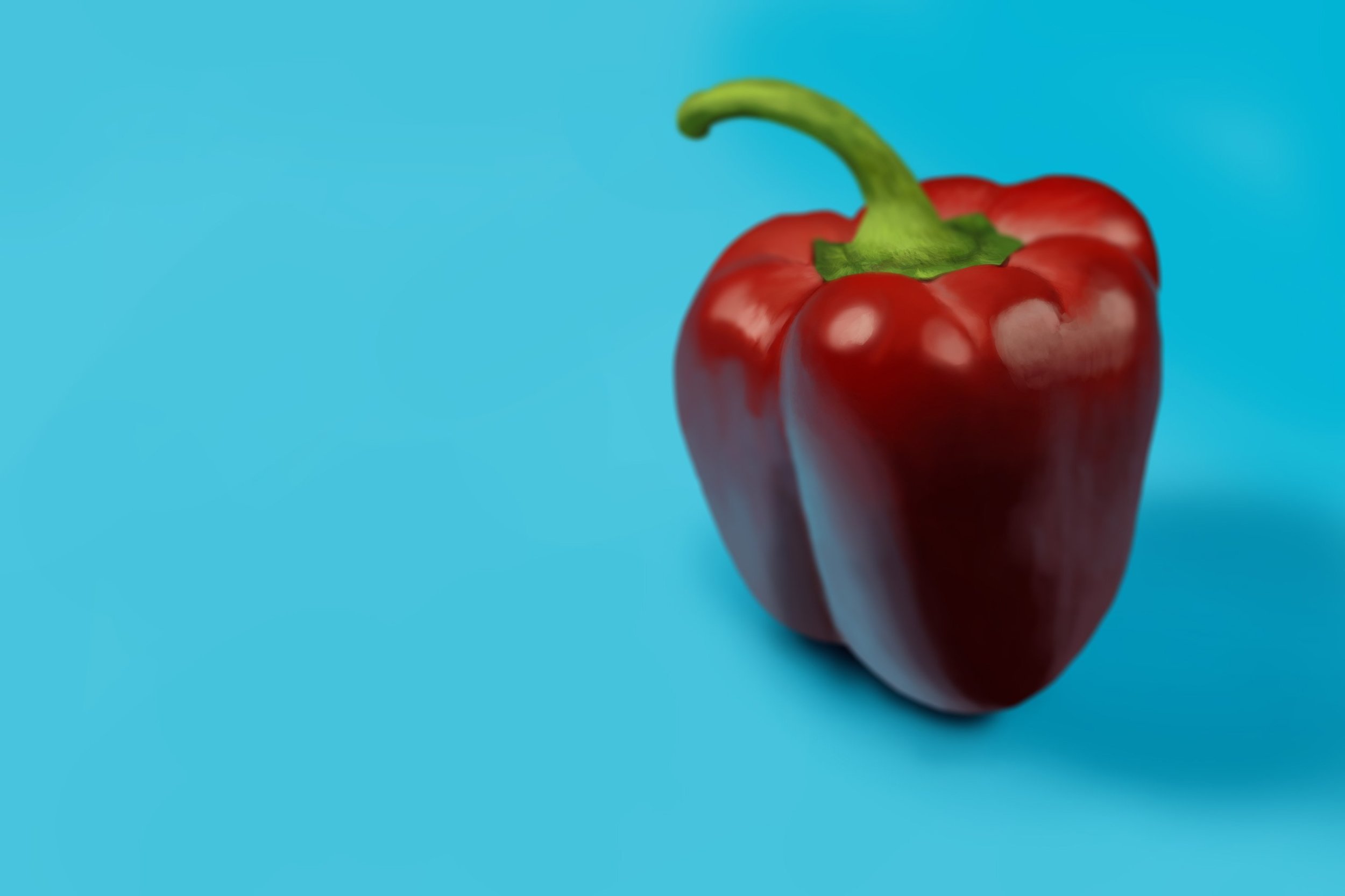 Exercice4-etude-photo1 copie 2.jpg