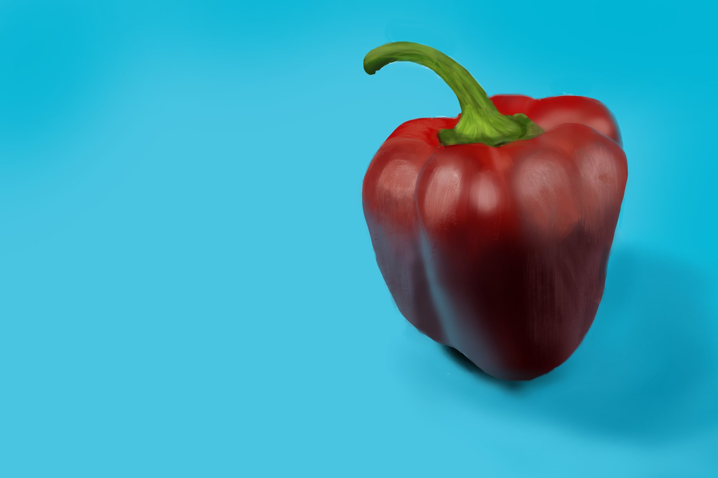 Exercice4-etude-photo2 GR Poivron final.jpg