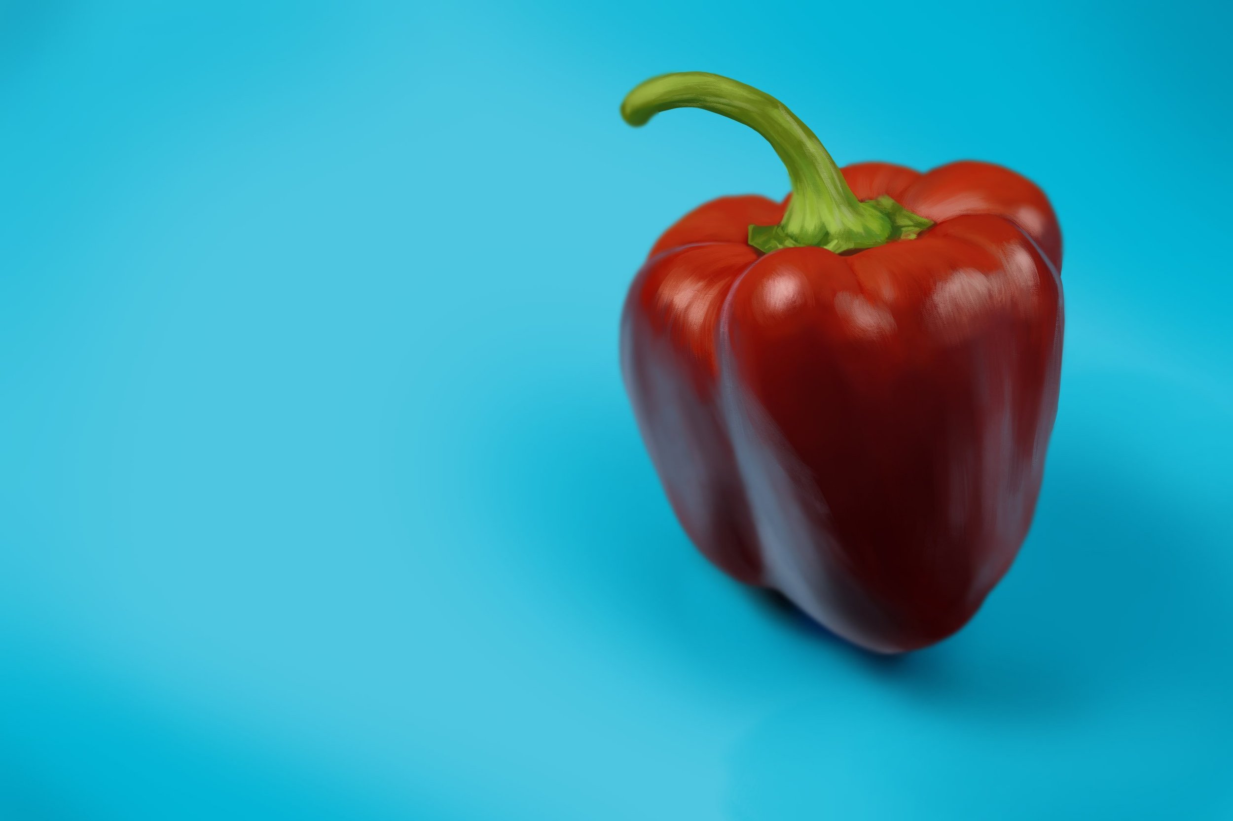 Exercice4-etude-photo1 cg.jpg