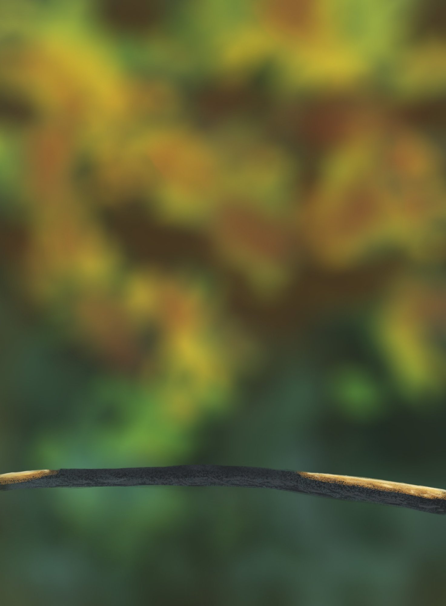 DPS Prog-1-1-Exercice5-Oiseau-Commencement - par Haki.jpg