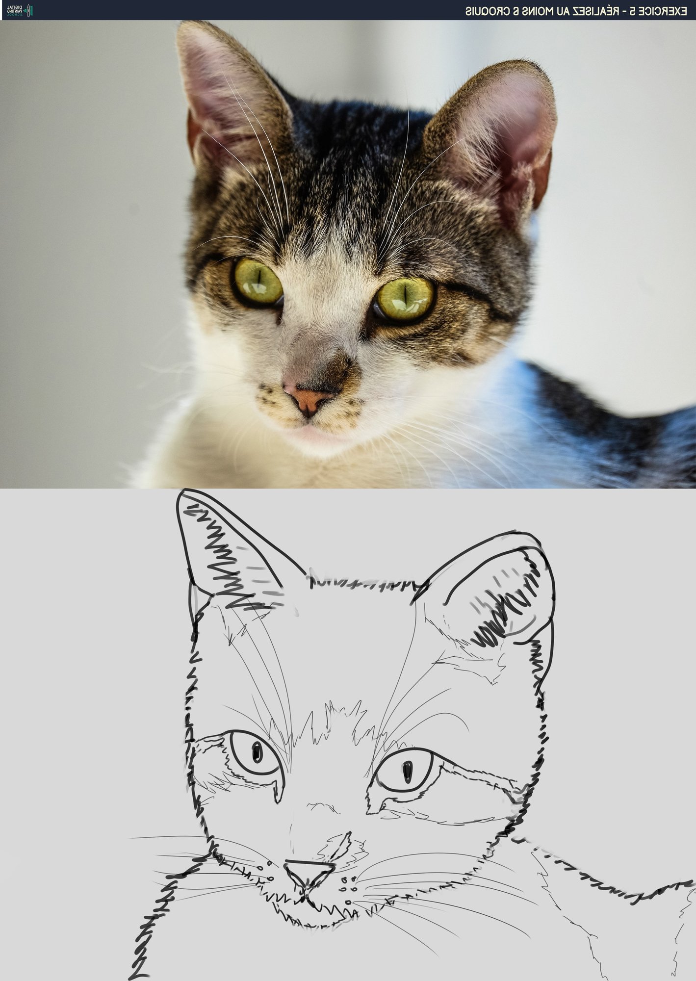 DPS-Prog-1-2-exercice5 - Chat - par Haki.jpg