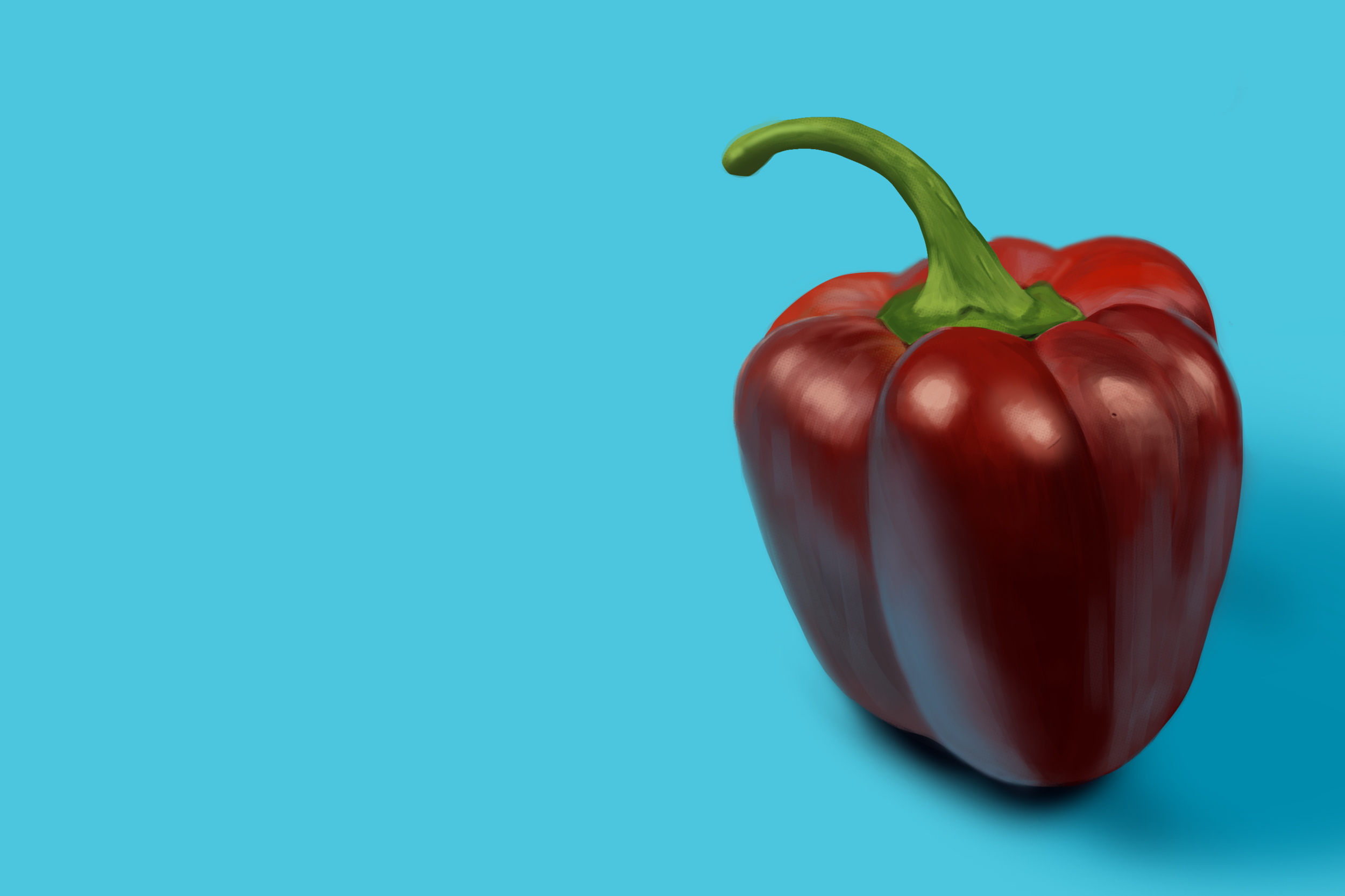 Exercice4-etude-photo1 copie.png