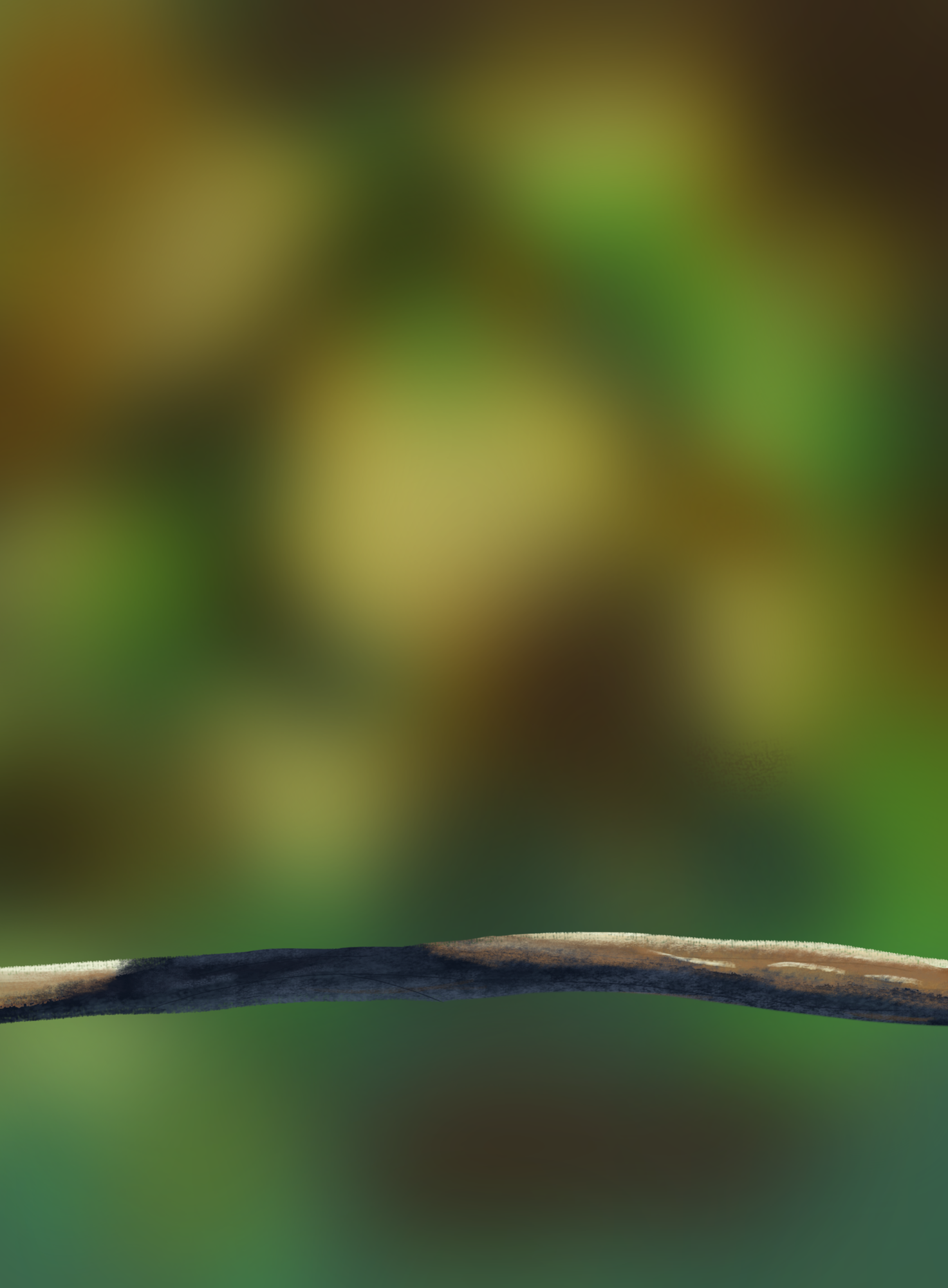 Exercice final v3.png