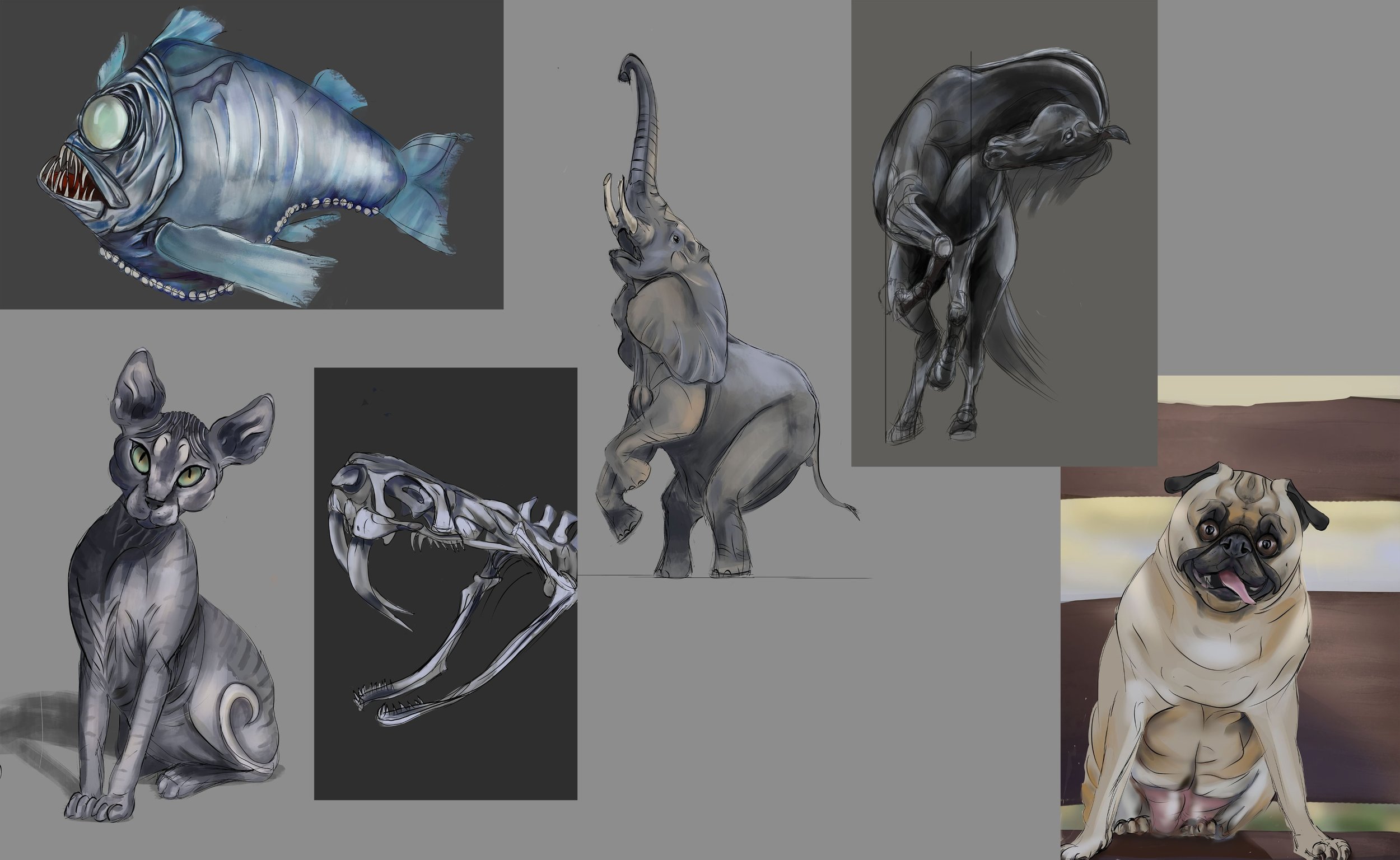 croquis animaux copie.jpg