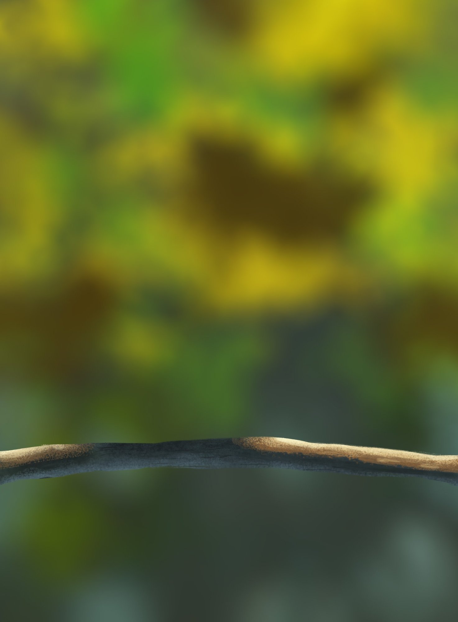 DPS Prog-1-1-Exercice5-Oiseau-Commencement copie.jpg