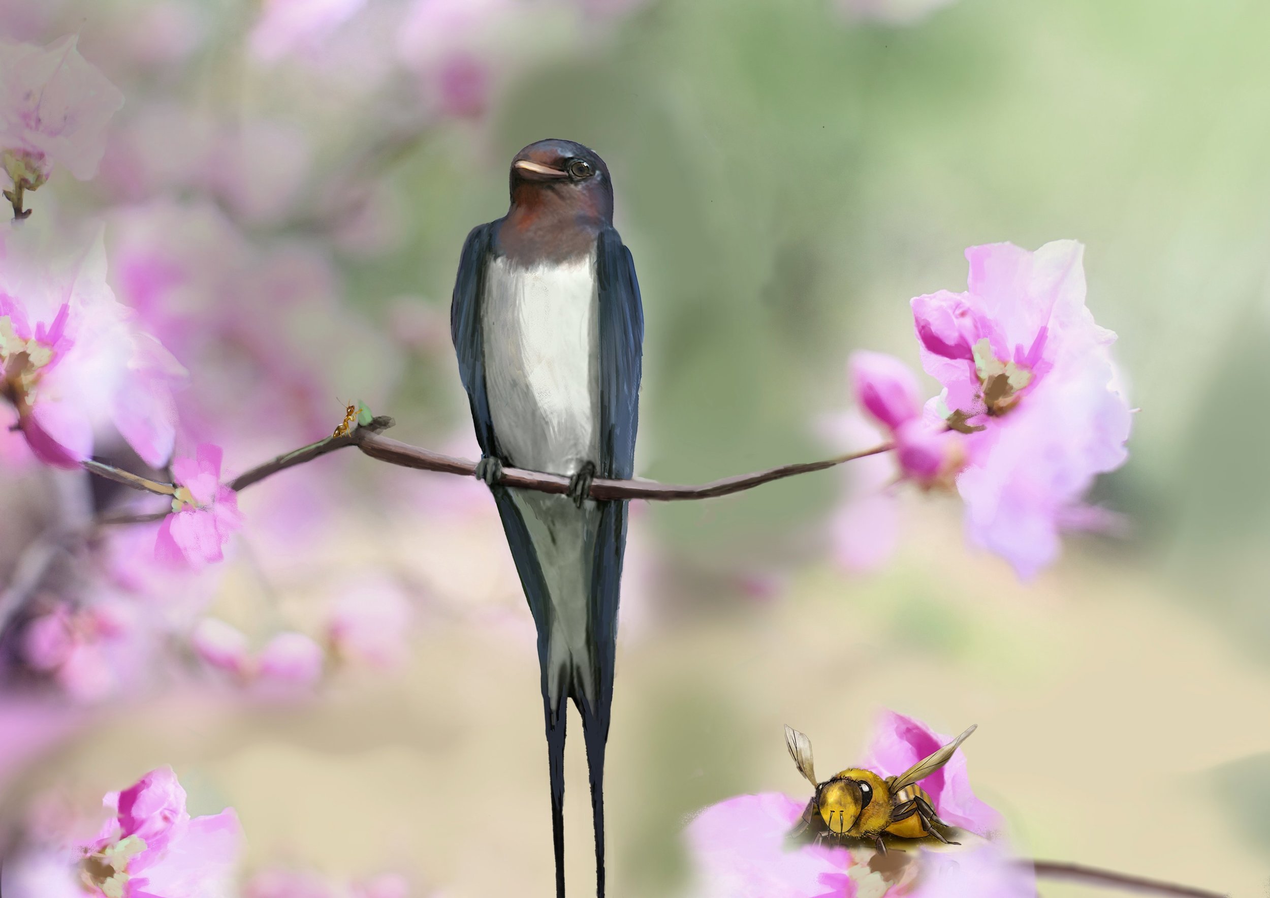 Hiro adulte8 fier.jpg