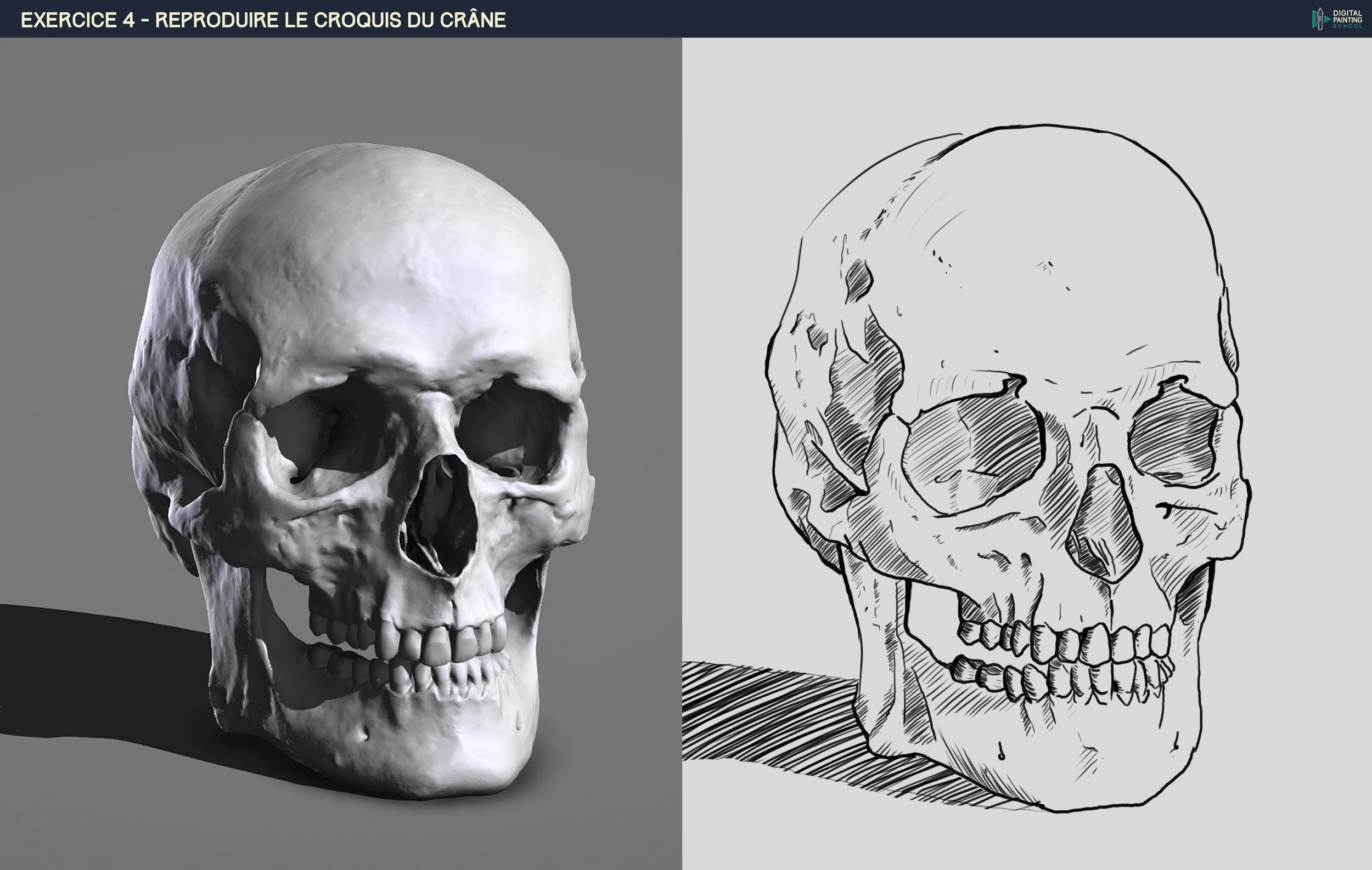 DPS-Prog-1-2-2-crane-croquis psk.jpg