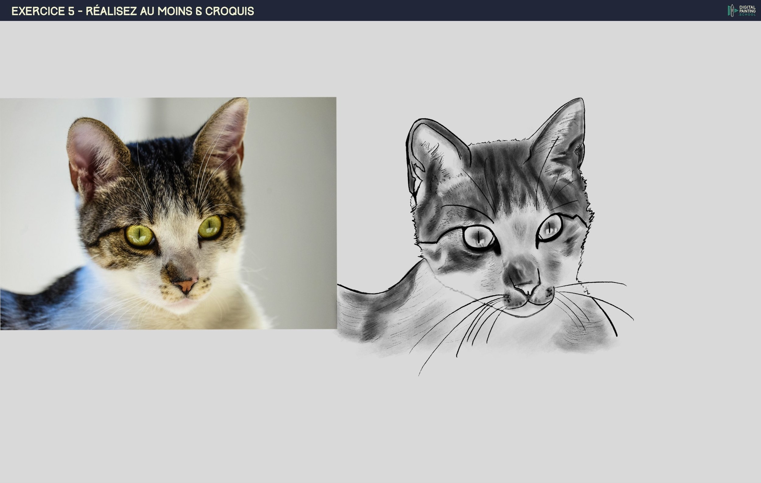 DPS-Prog-1-2-chat jp.jpg