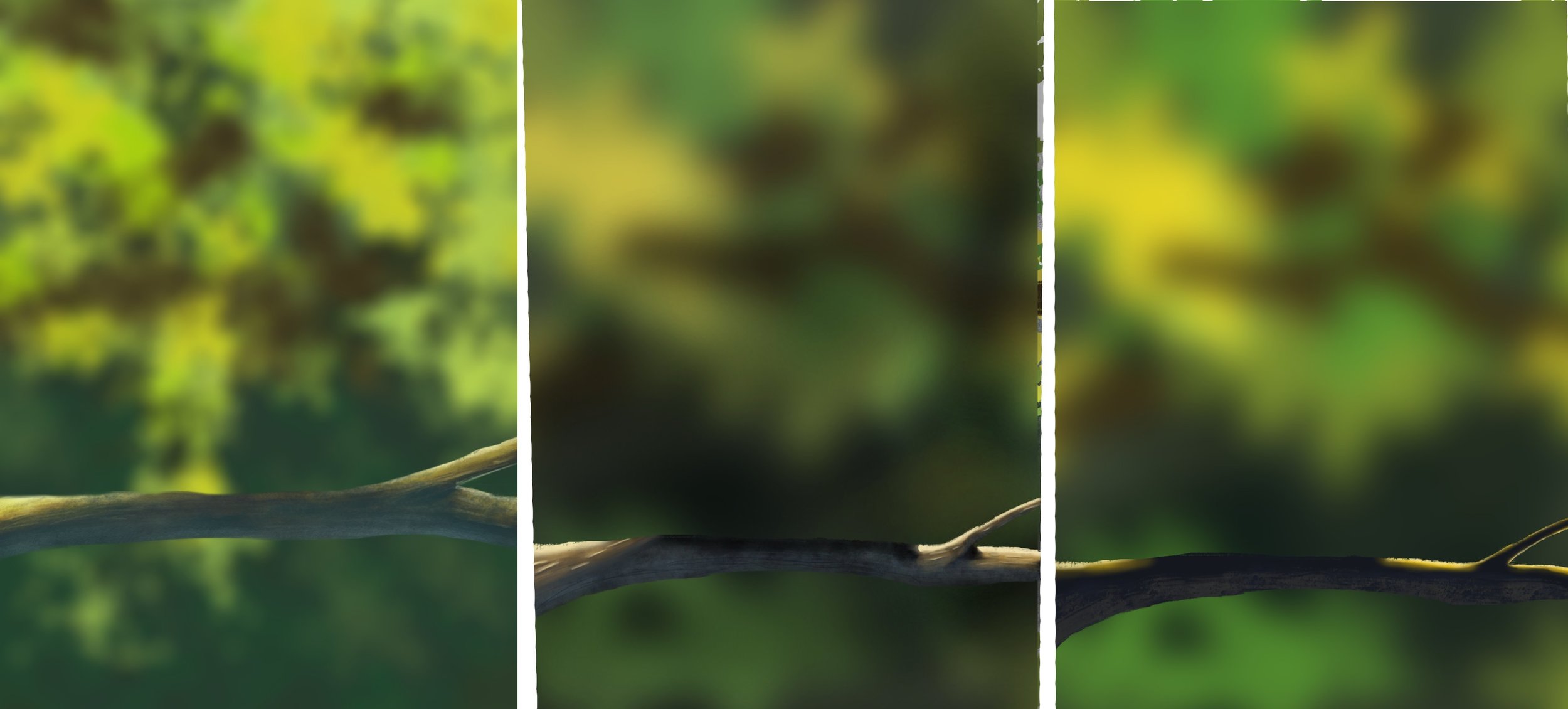 oisillon 2.0 évolution.jpg