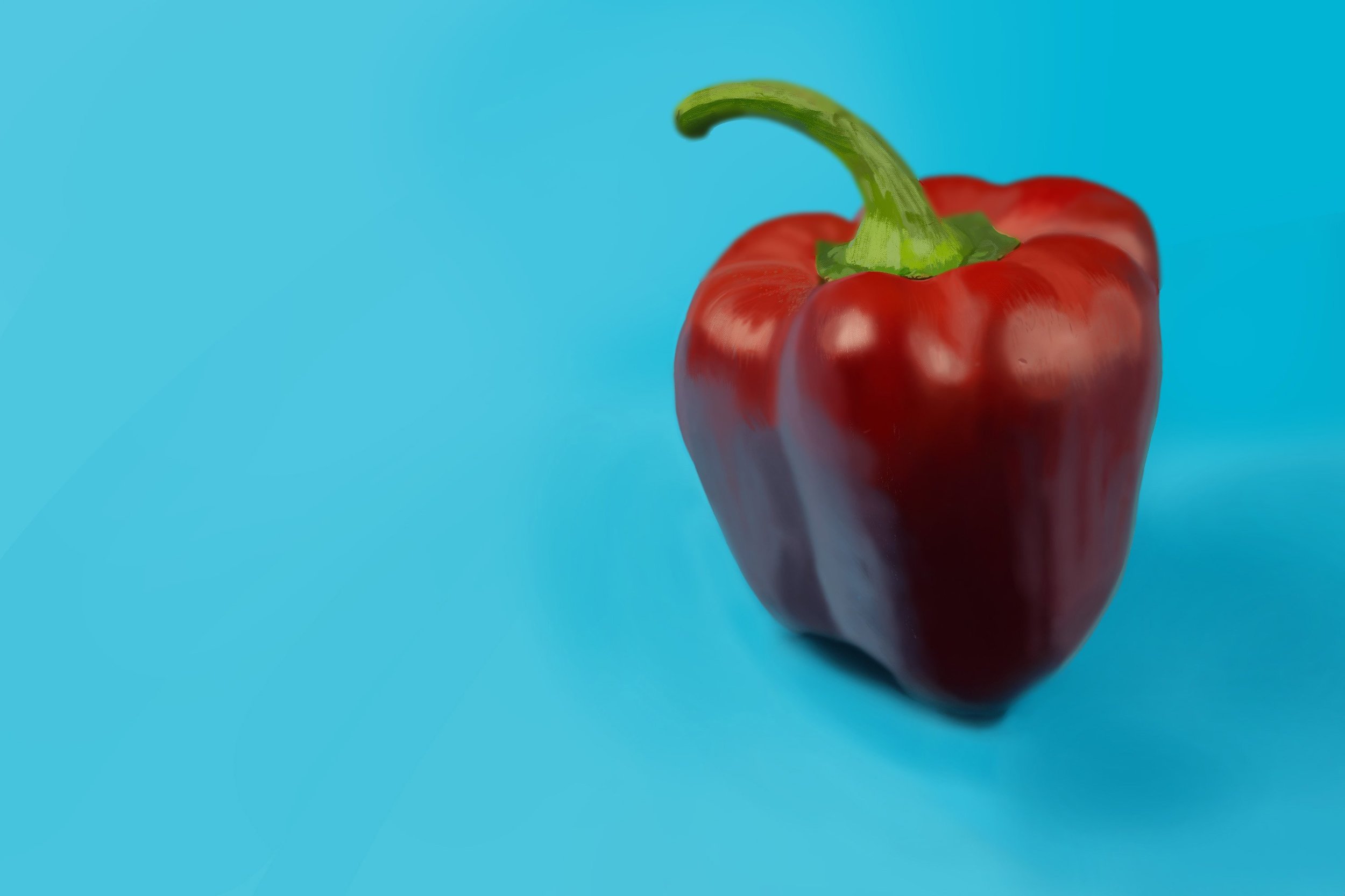 Exercice4-etude-photo1 molvak.jpg