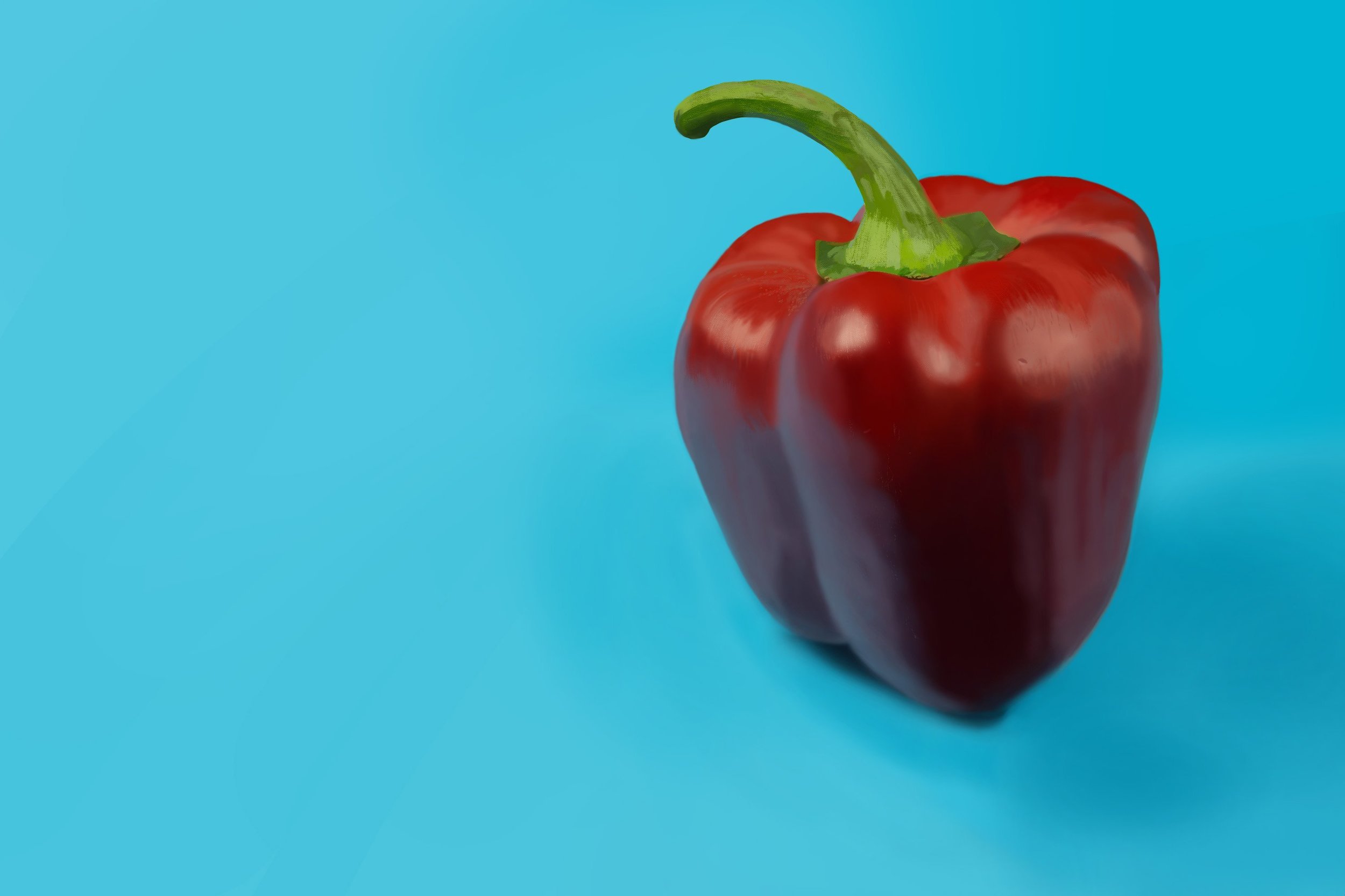 Exercice4-etude-photo1 molvak.jpg