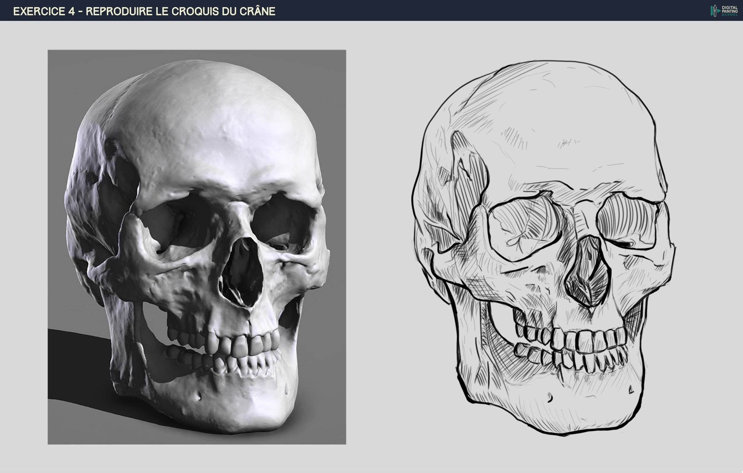 DPS-Prog-1-2-2-exercice4-crane final.jpg