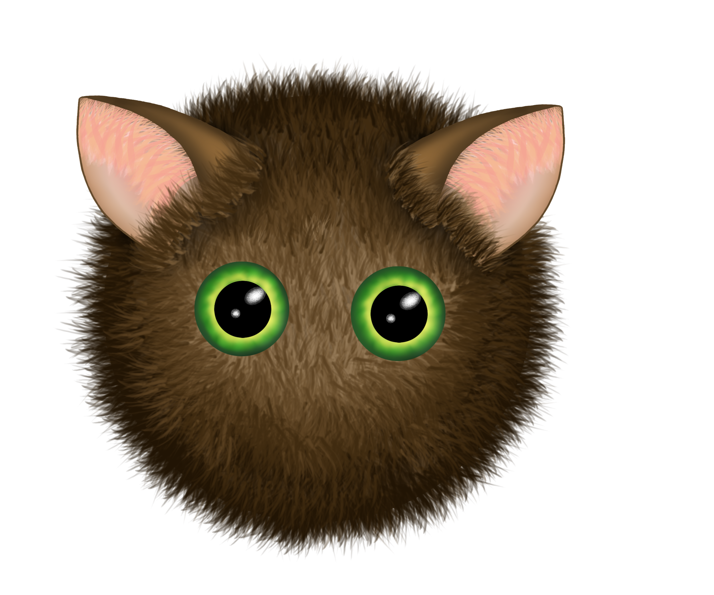 boule de poils_regard droit.png