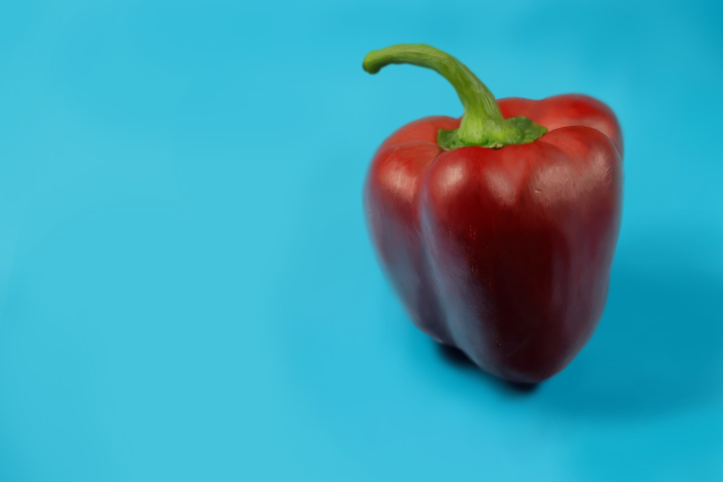 Exercice poivron Eihlir.jpg