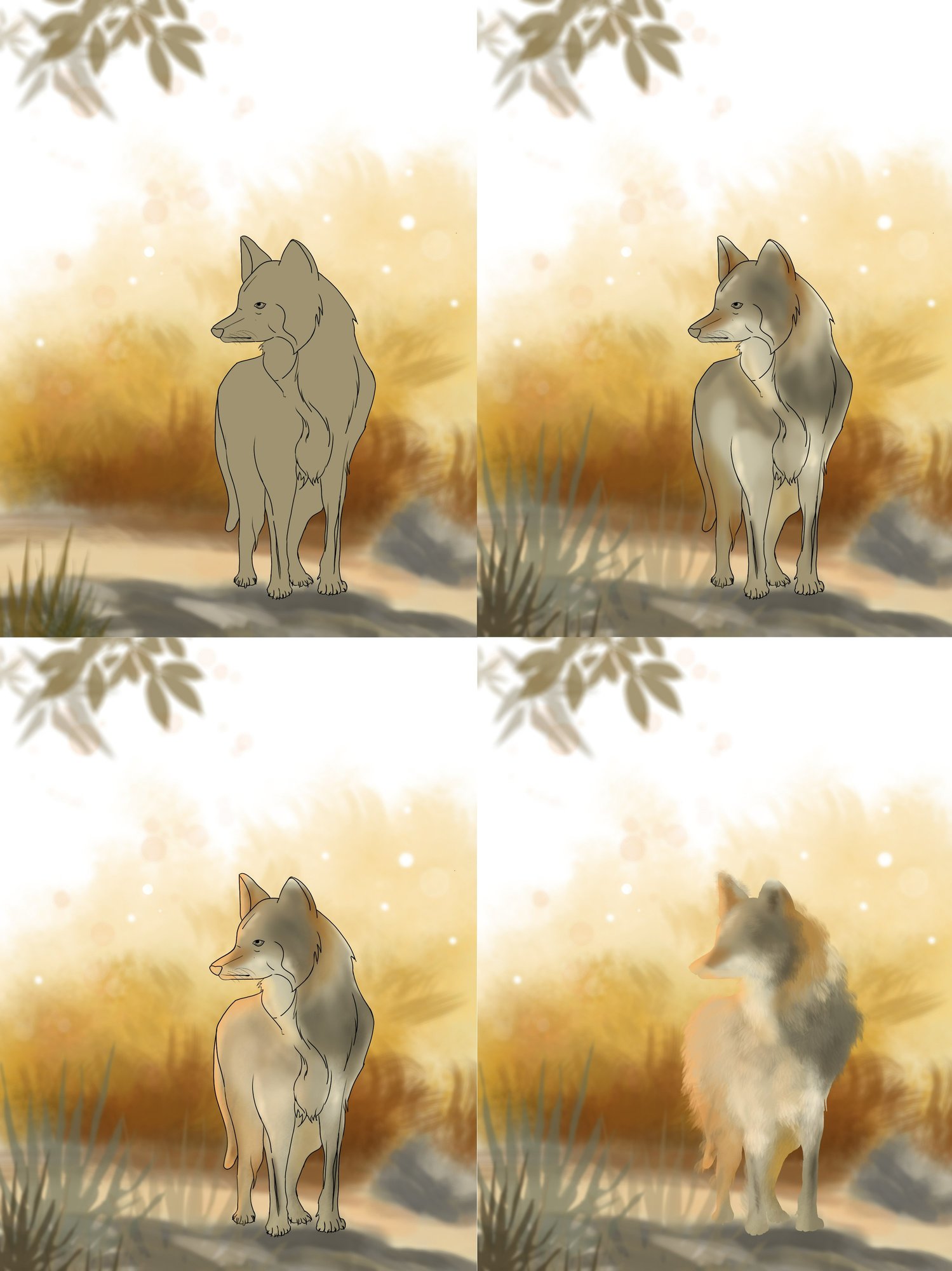 loup couleurs-etapes.jpg