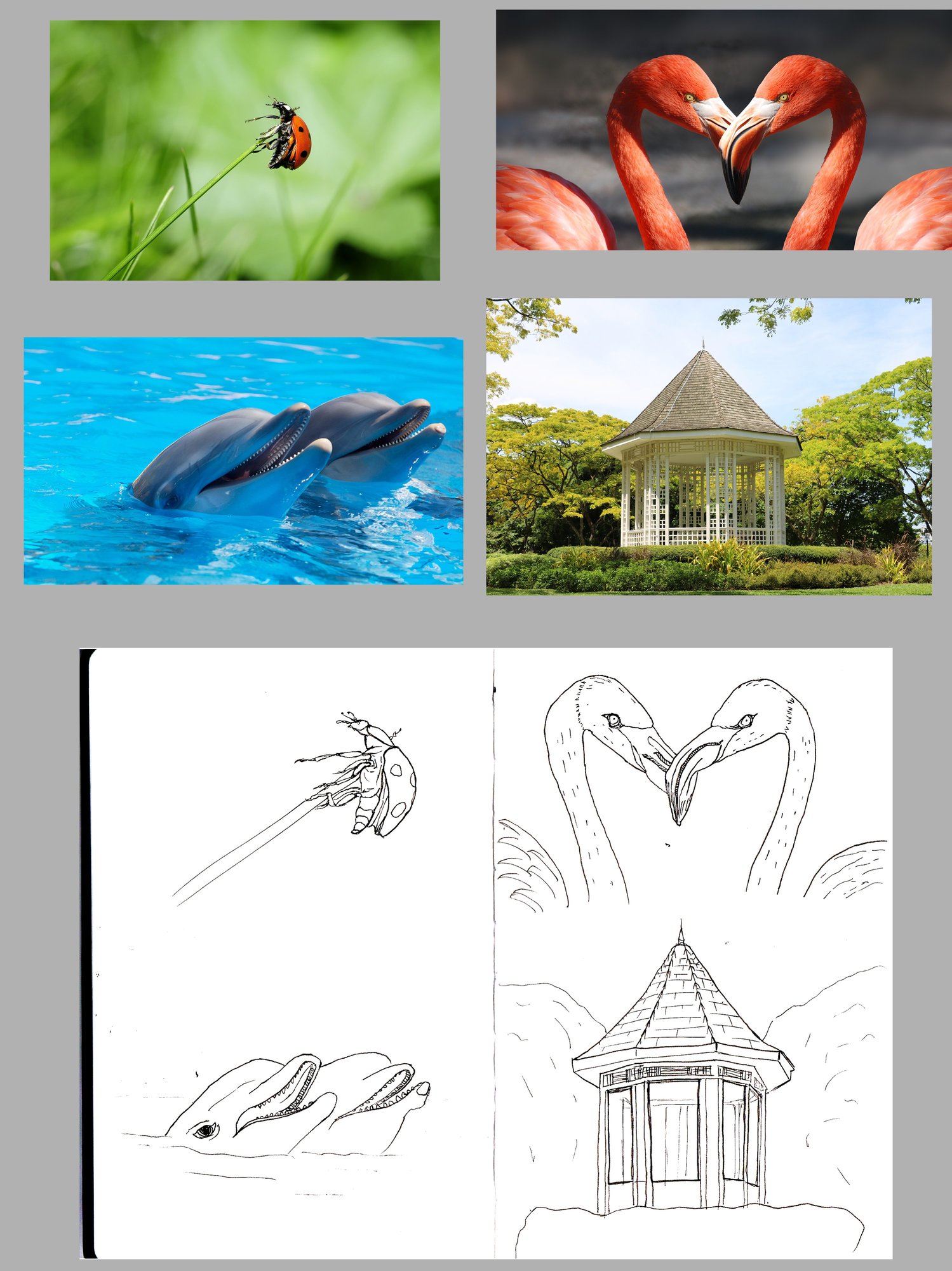 Exercice 1 traditionnel.jpg