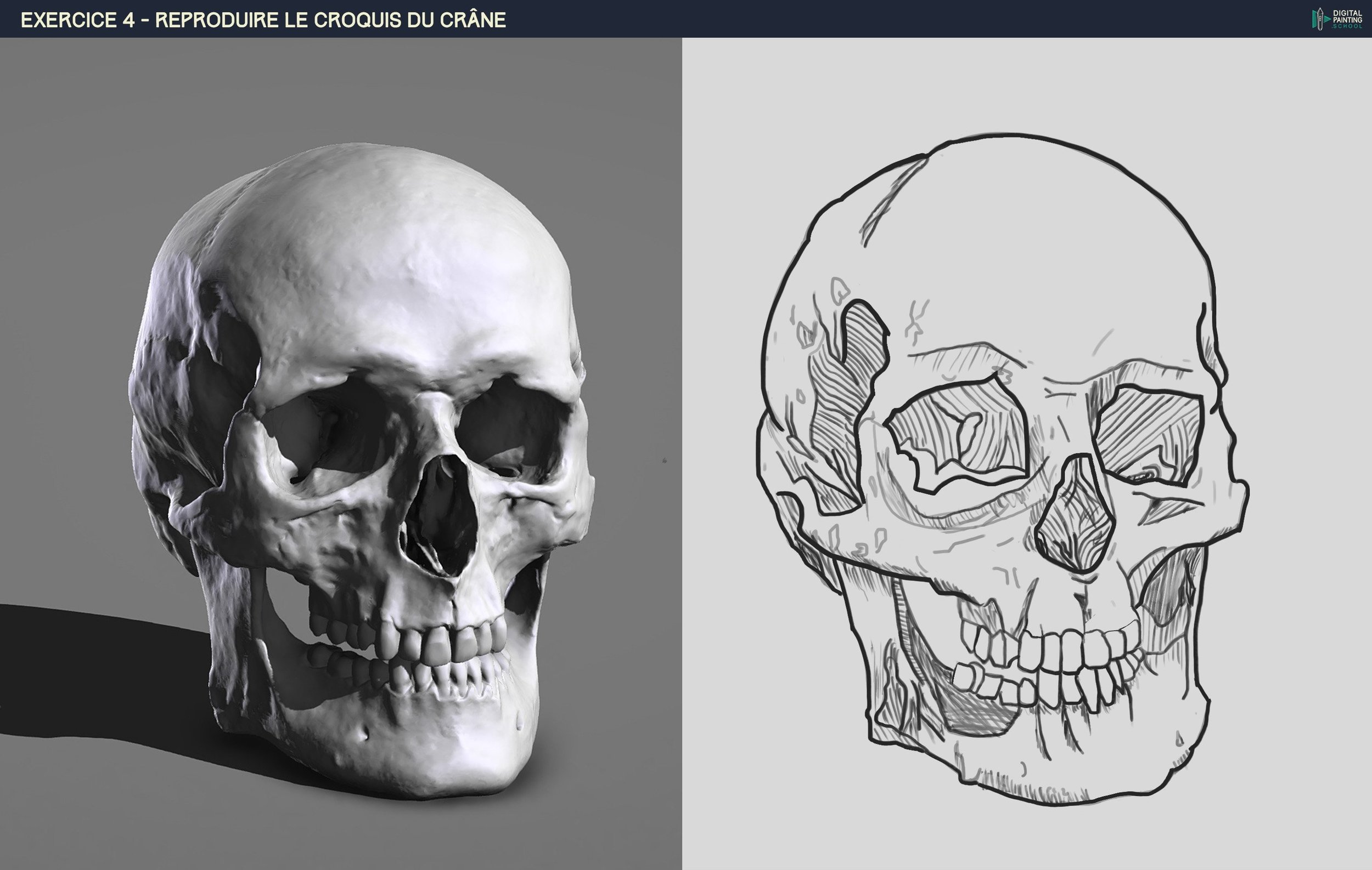 DPS-Prog-1-2-2-démo-crane-croquis copie.jpg