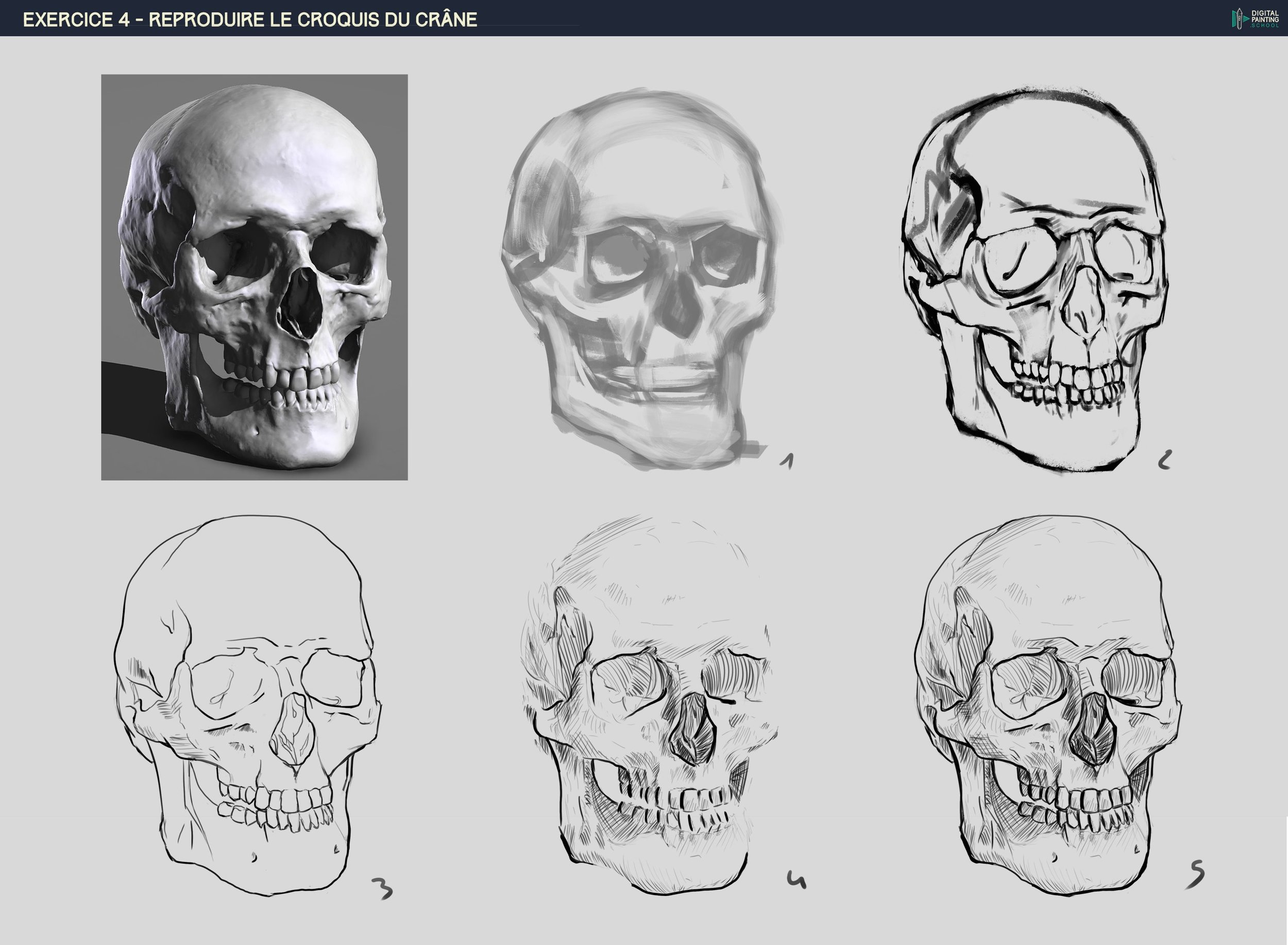 DPS-Prog-1-2-2-exercice4-crane étapes.jpg