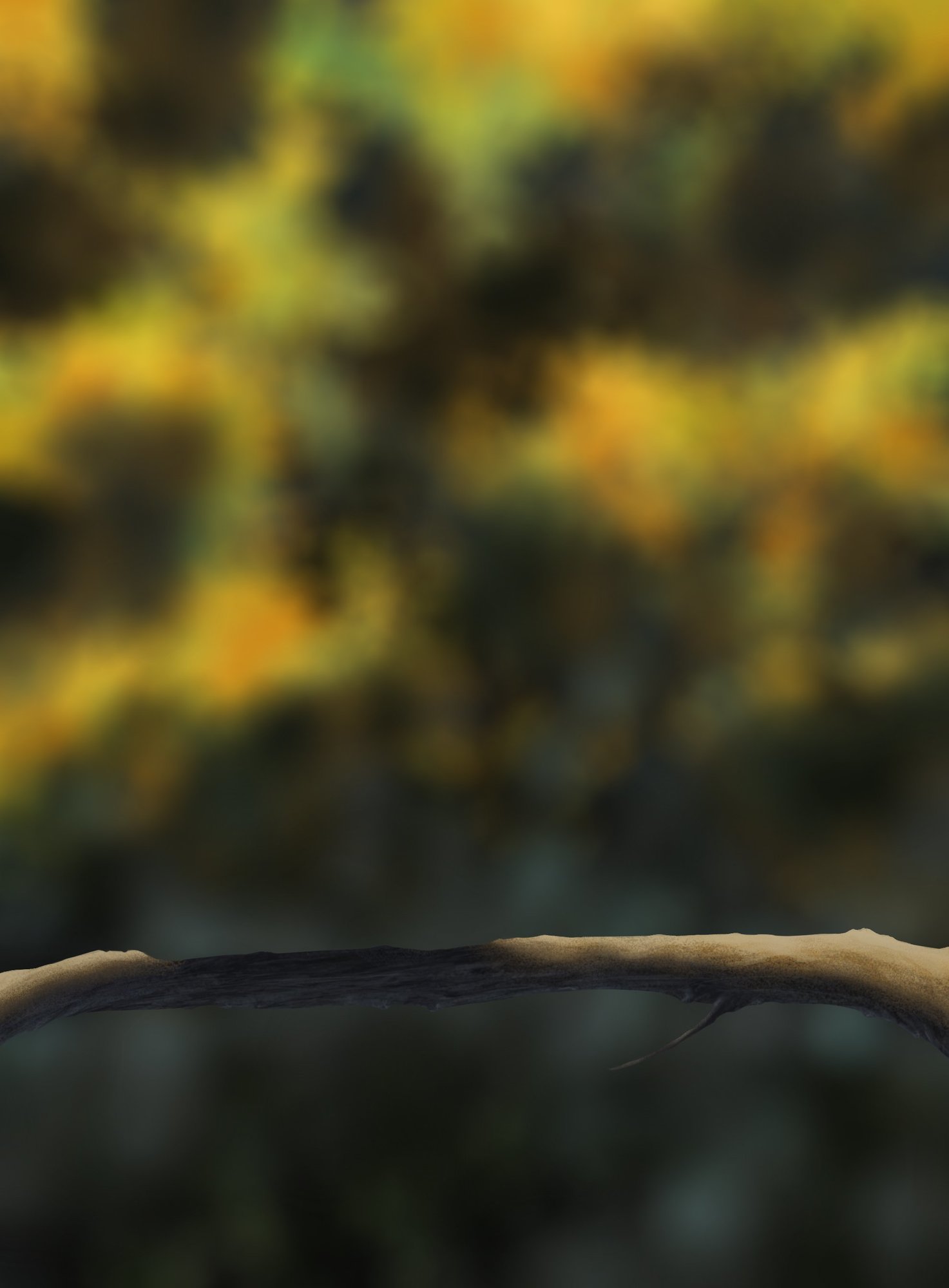 DPS Prog-1-1-Exercice5-Oiseau-Commencement.jpg