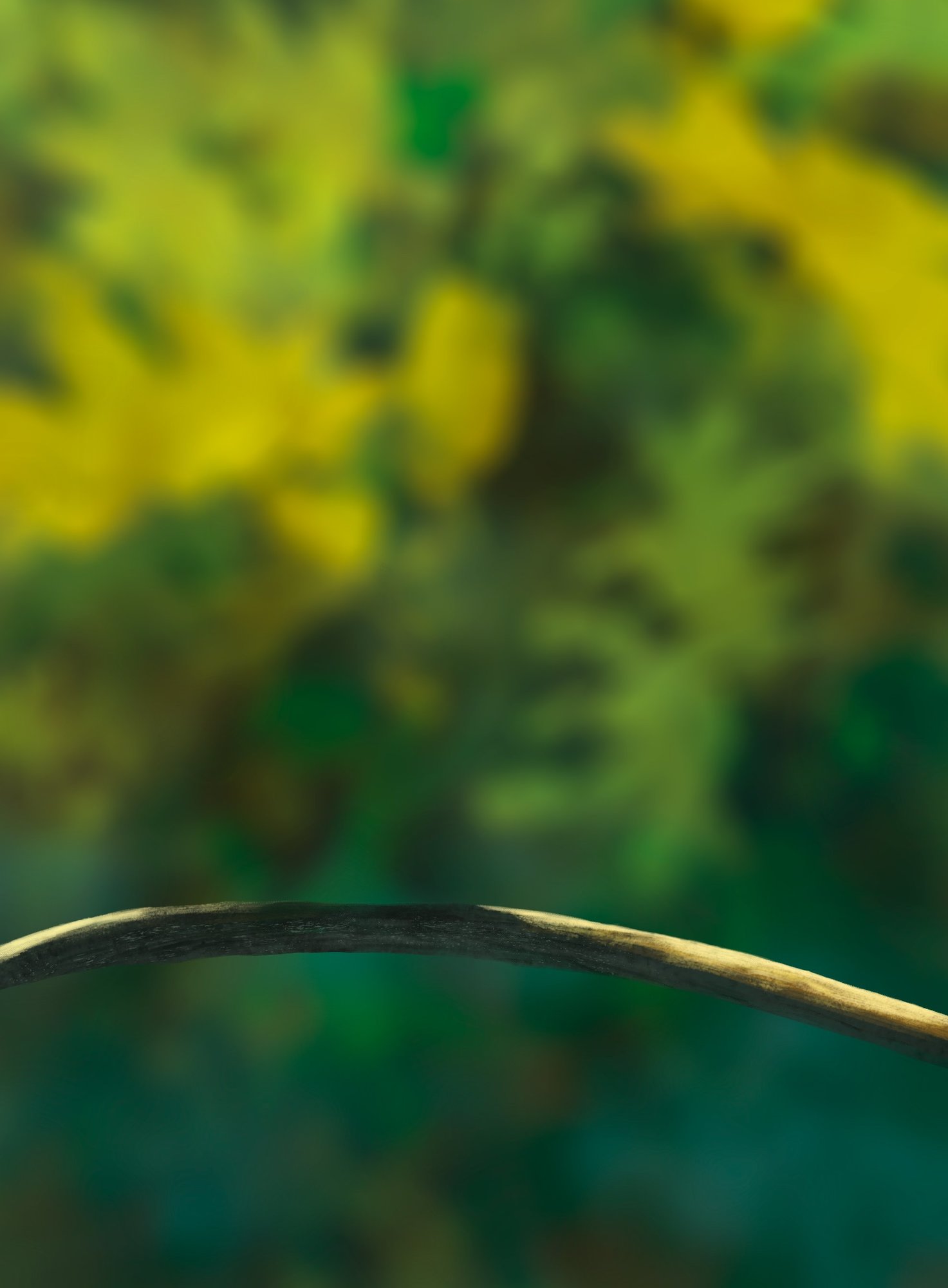 DPS Prog-1-1-Exercice5-Oiseau-Commencement.jpg