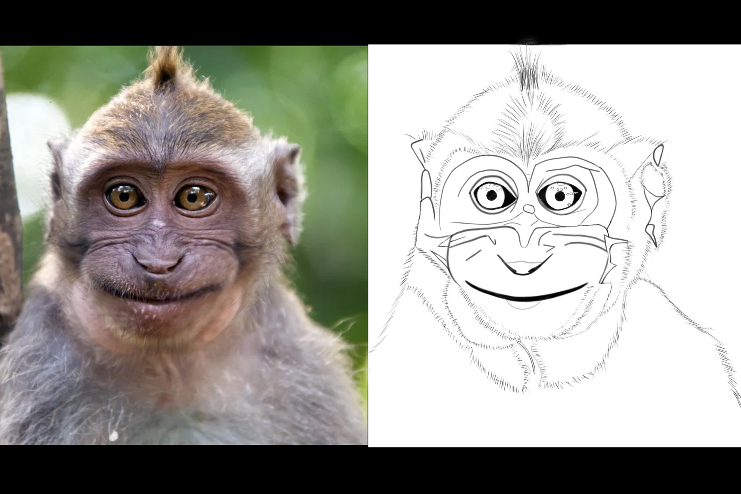 croquis-le sourire du macaque complet.jpg