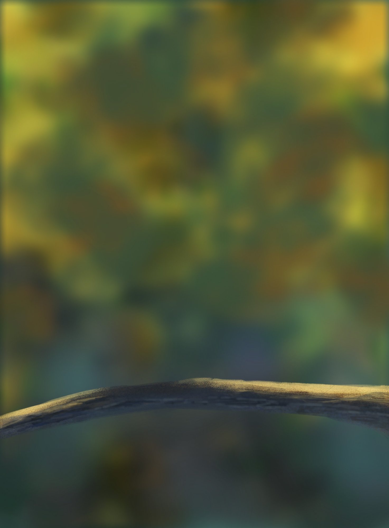 DPS Prog-1-1-Exercice5-Oiseau-Commencement stef.jpg