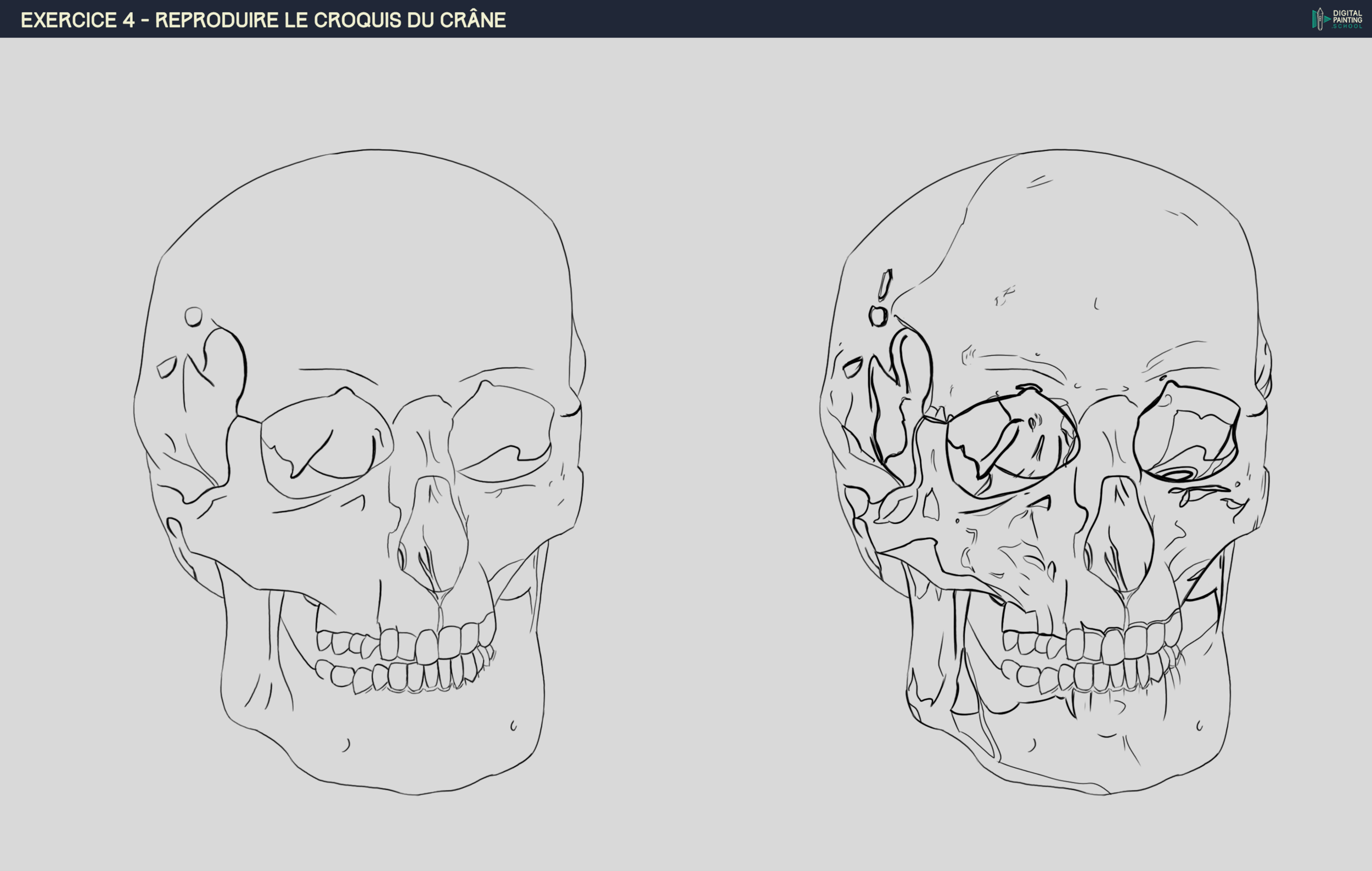 DPS-Prog-1-2-2-démo-crane-croquis co 2.png