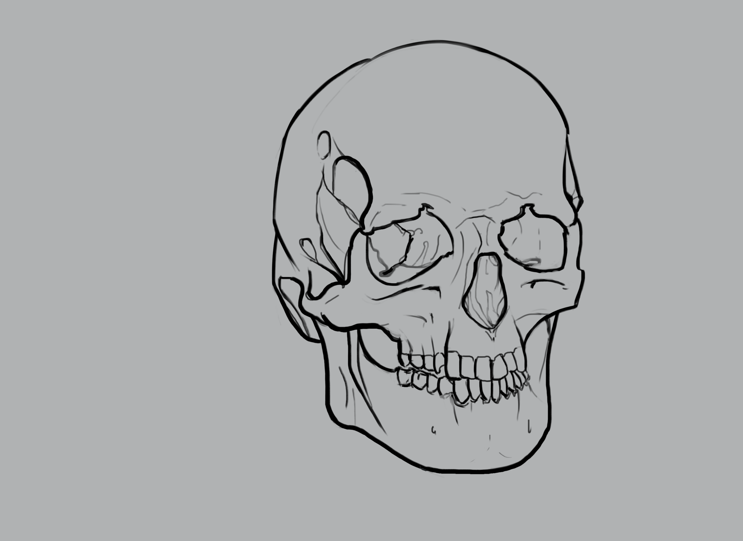 crane tracé final.png