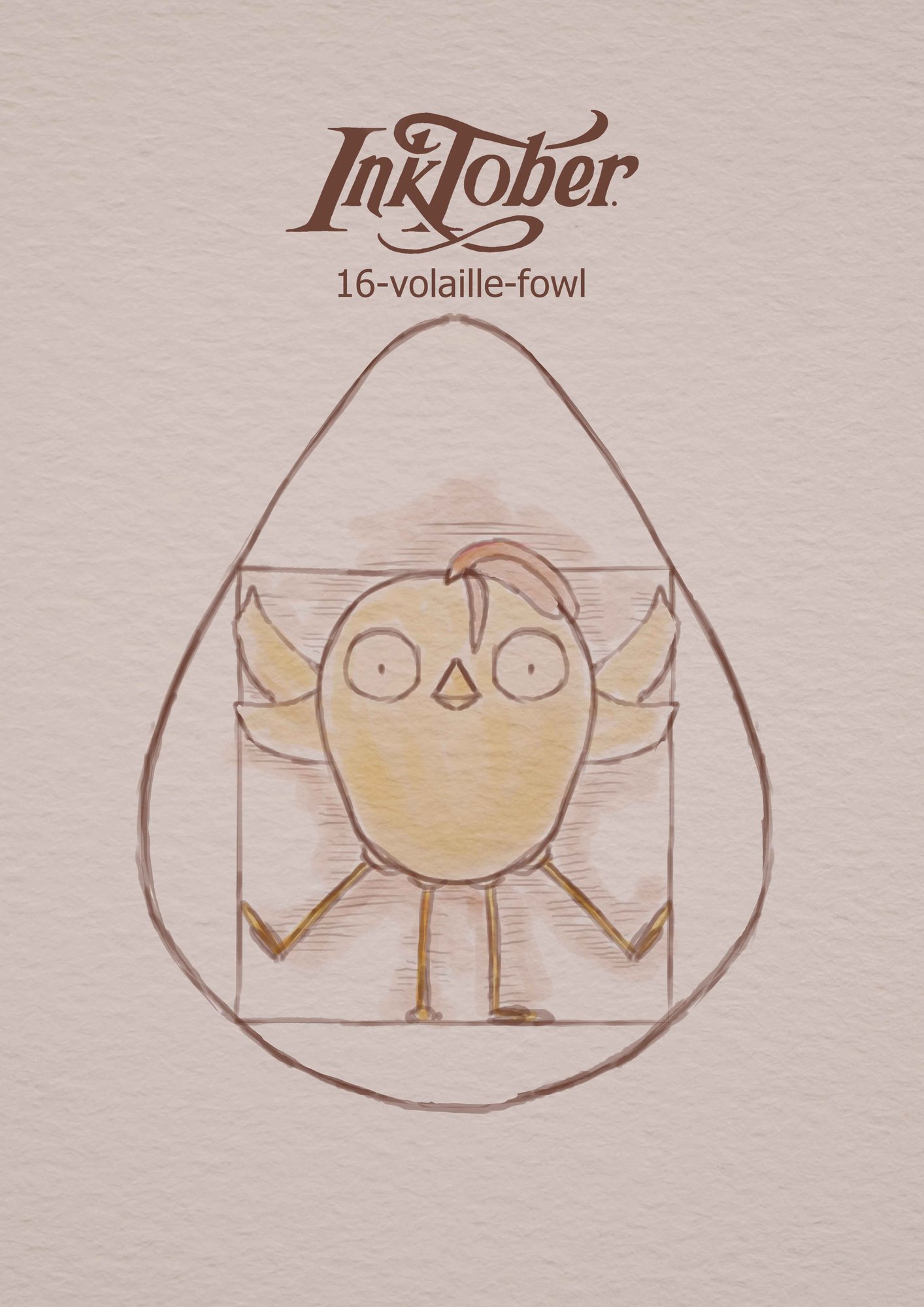 16-volaille-fowl.jpg
