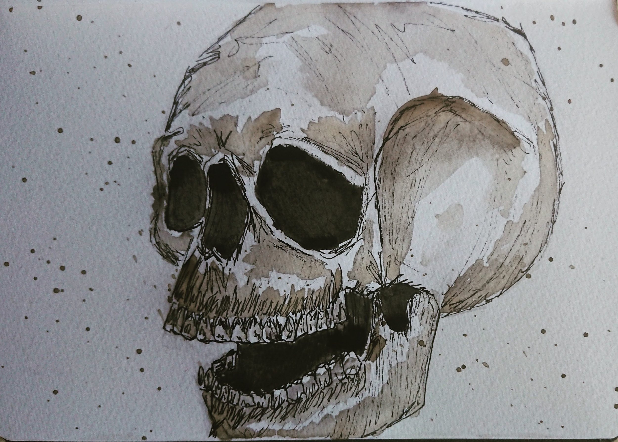 Skull A.jpg