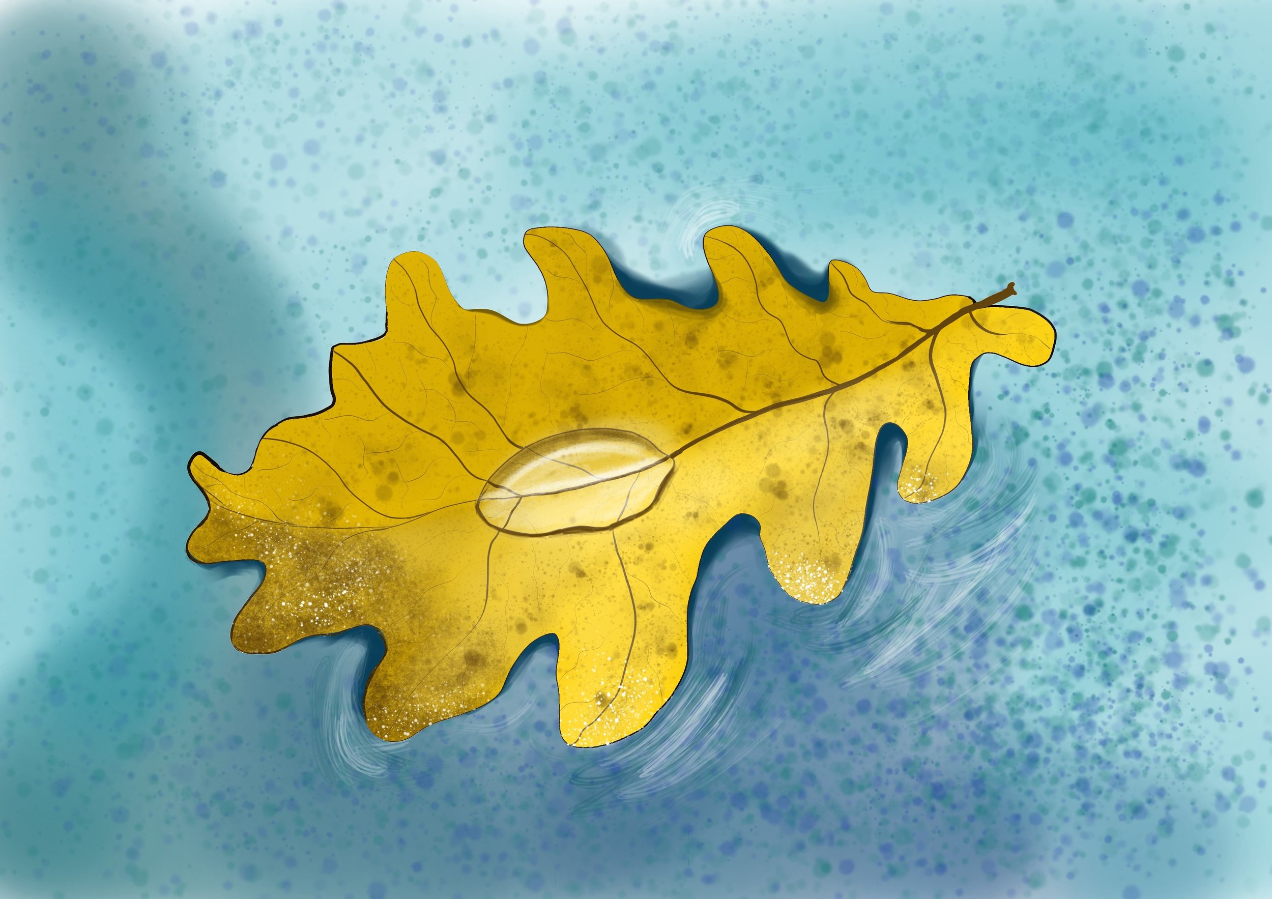 Feuille entrainement 1.jpg