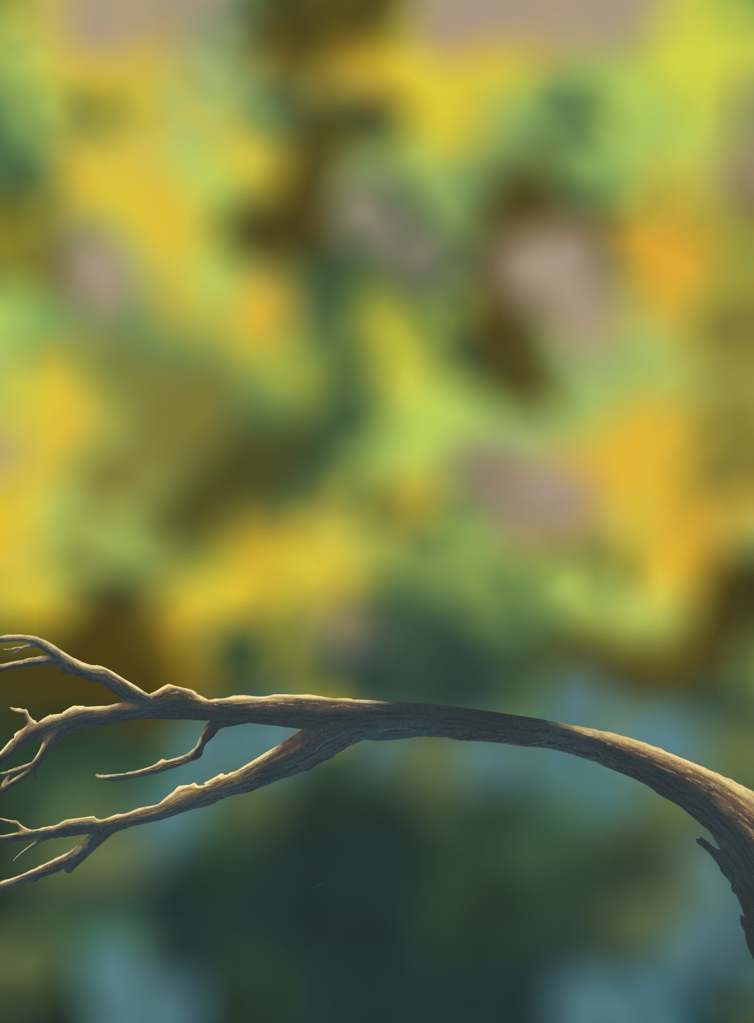 dps prog-1-1-exercice5-oiseau-commencement.jpg